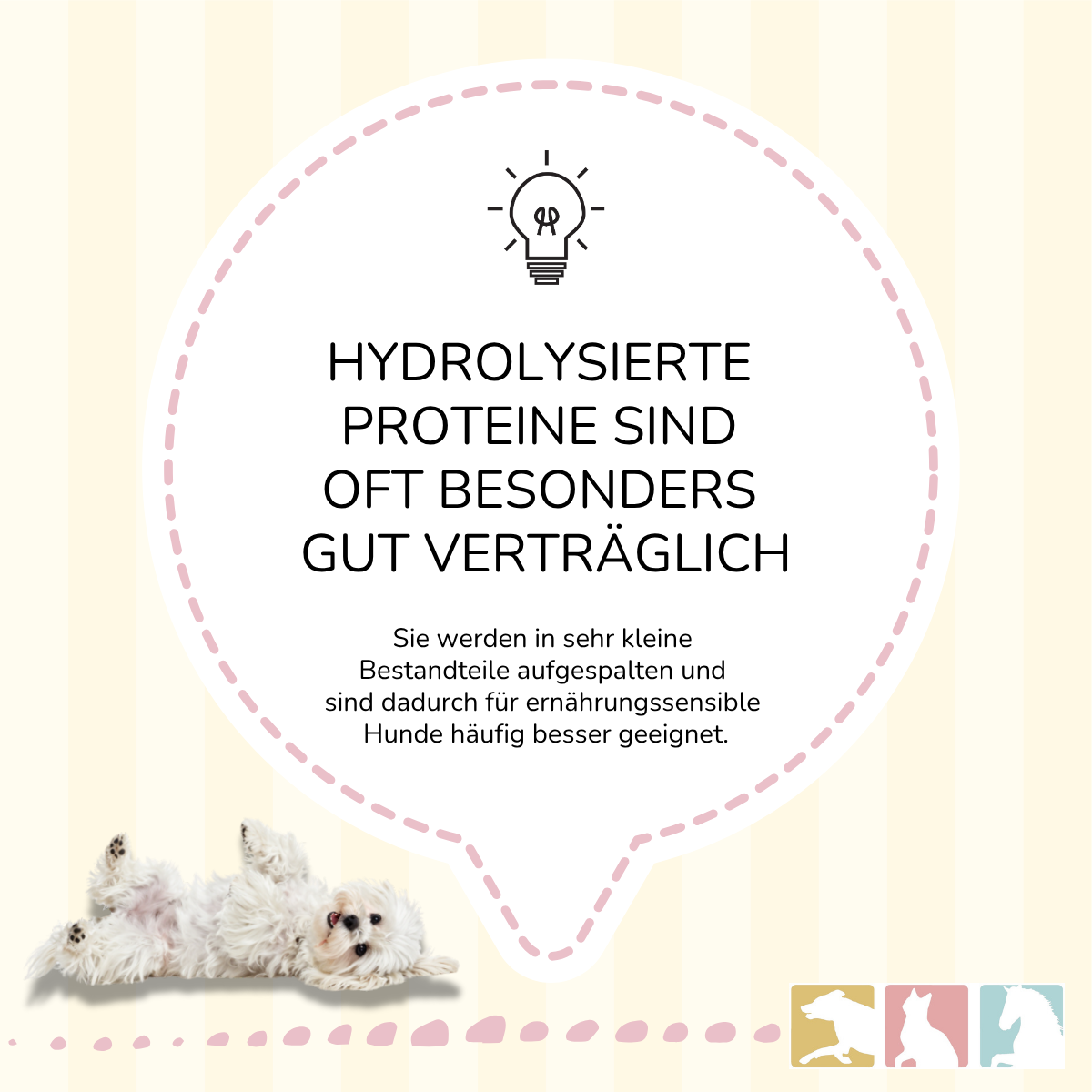 CaniMove hypoallergen