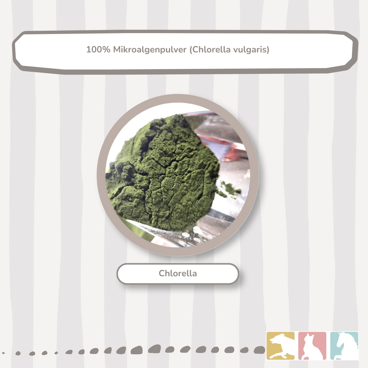 Chlorella