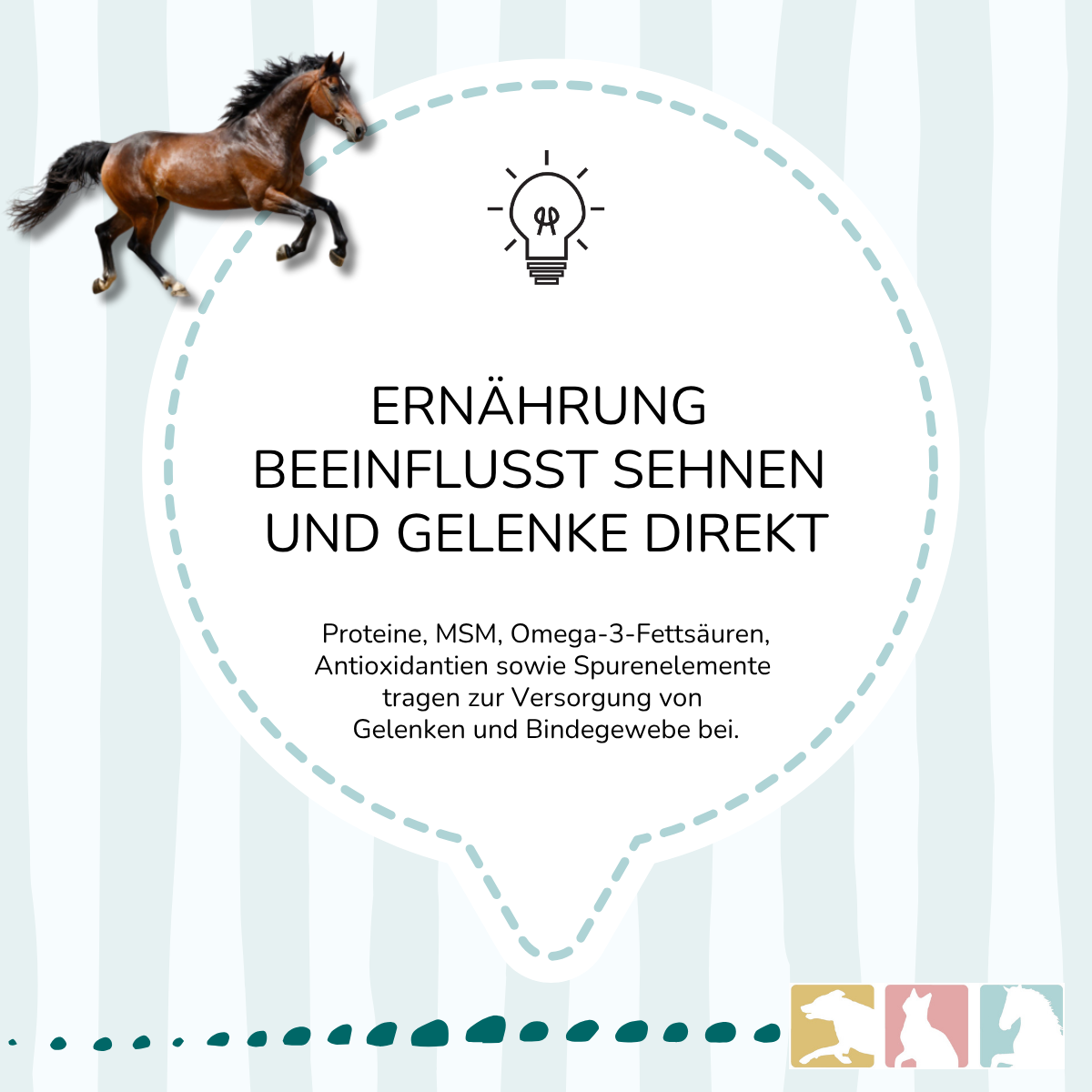 EquiMove motion