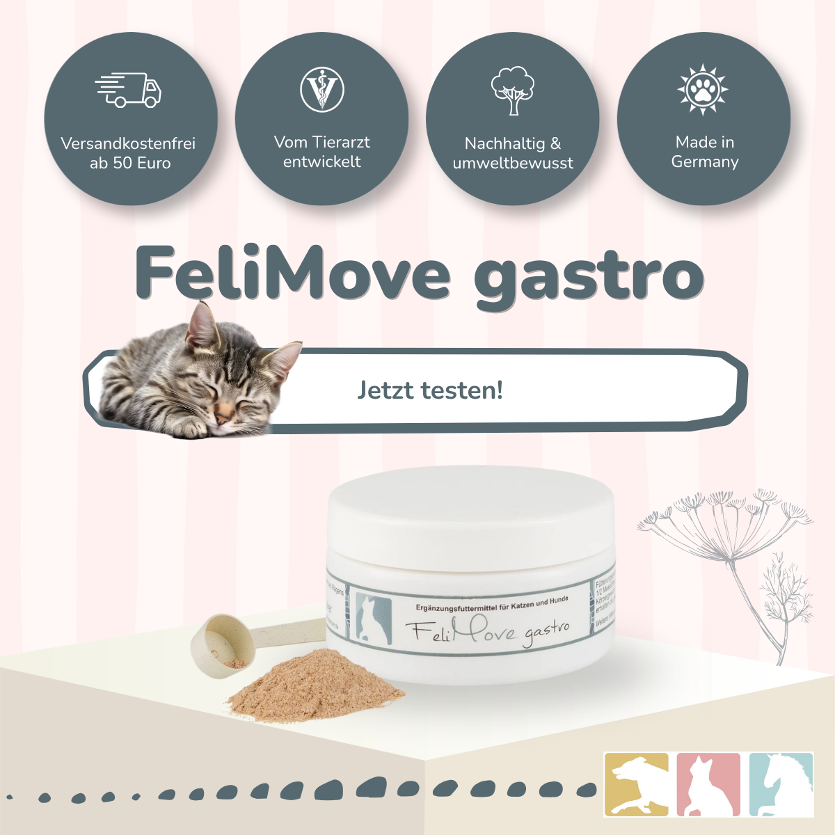 FeliMove gastro