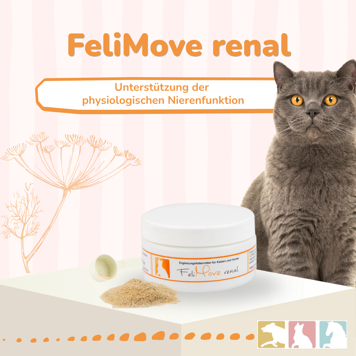 FeliMove renal