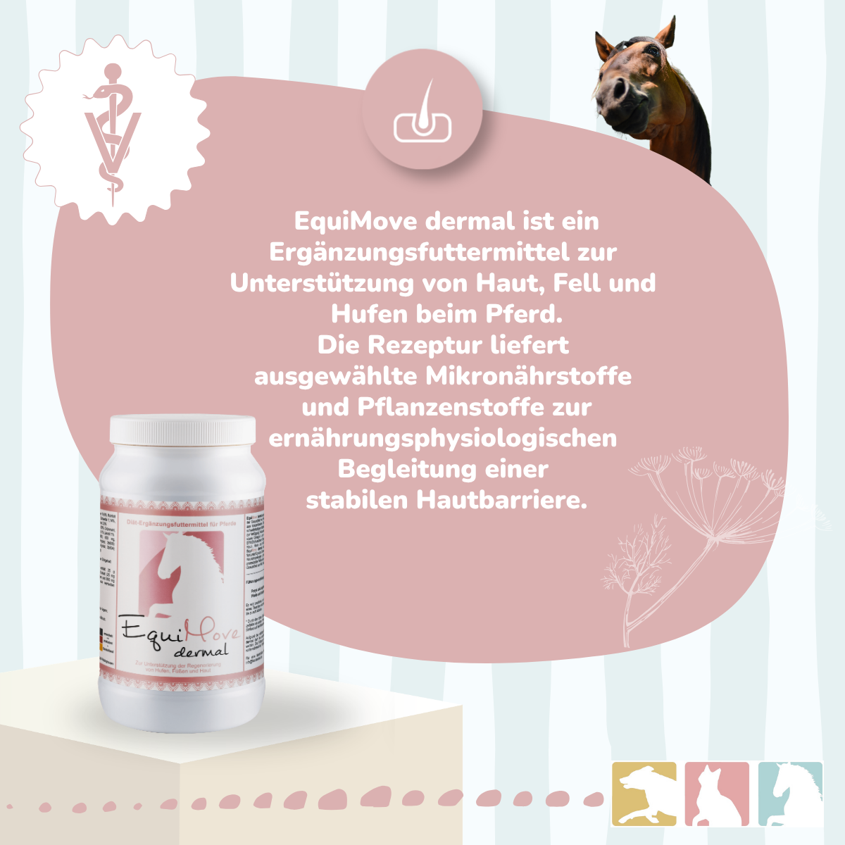 EquiMove dermal