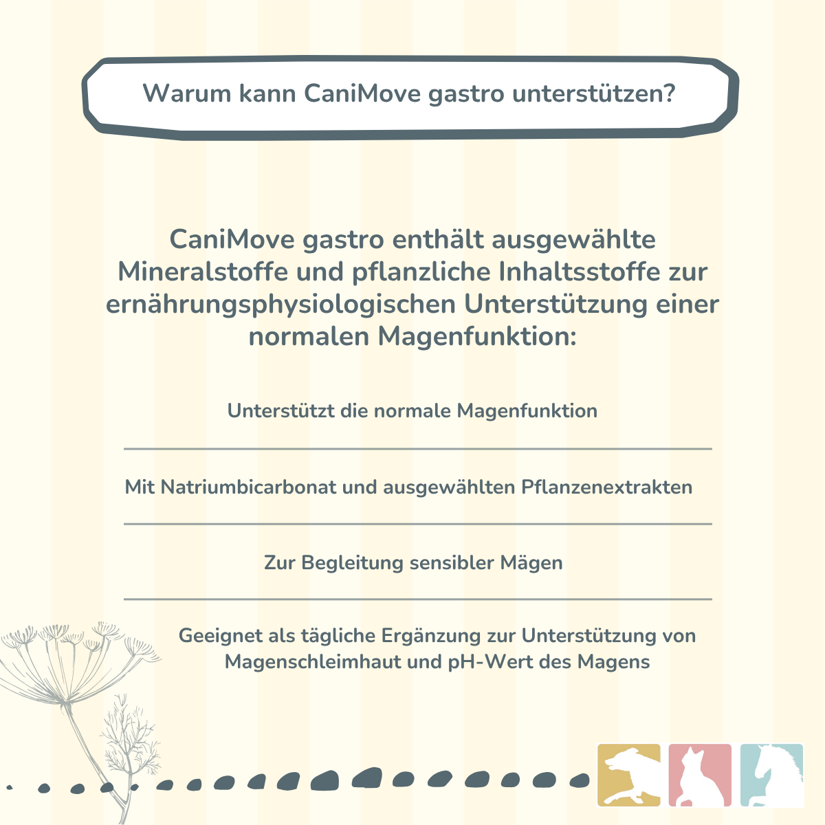 CaniMove gastro
