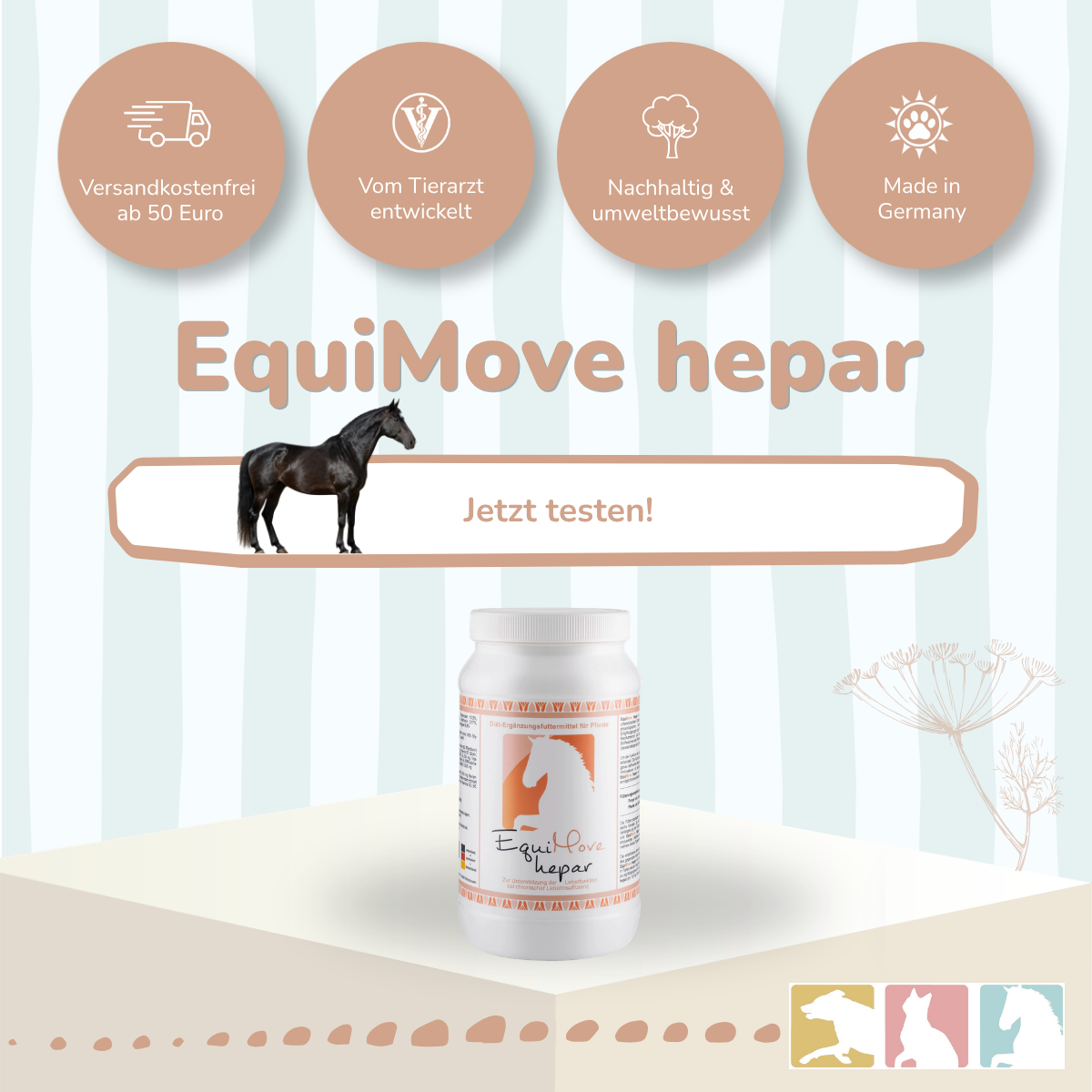 EquiMove hepar