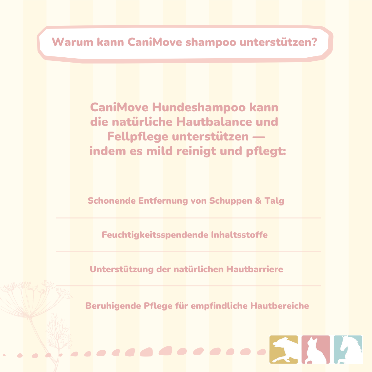 Hundeshampoo