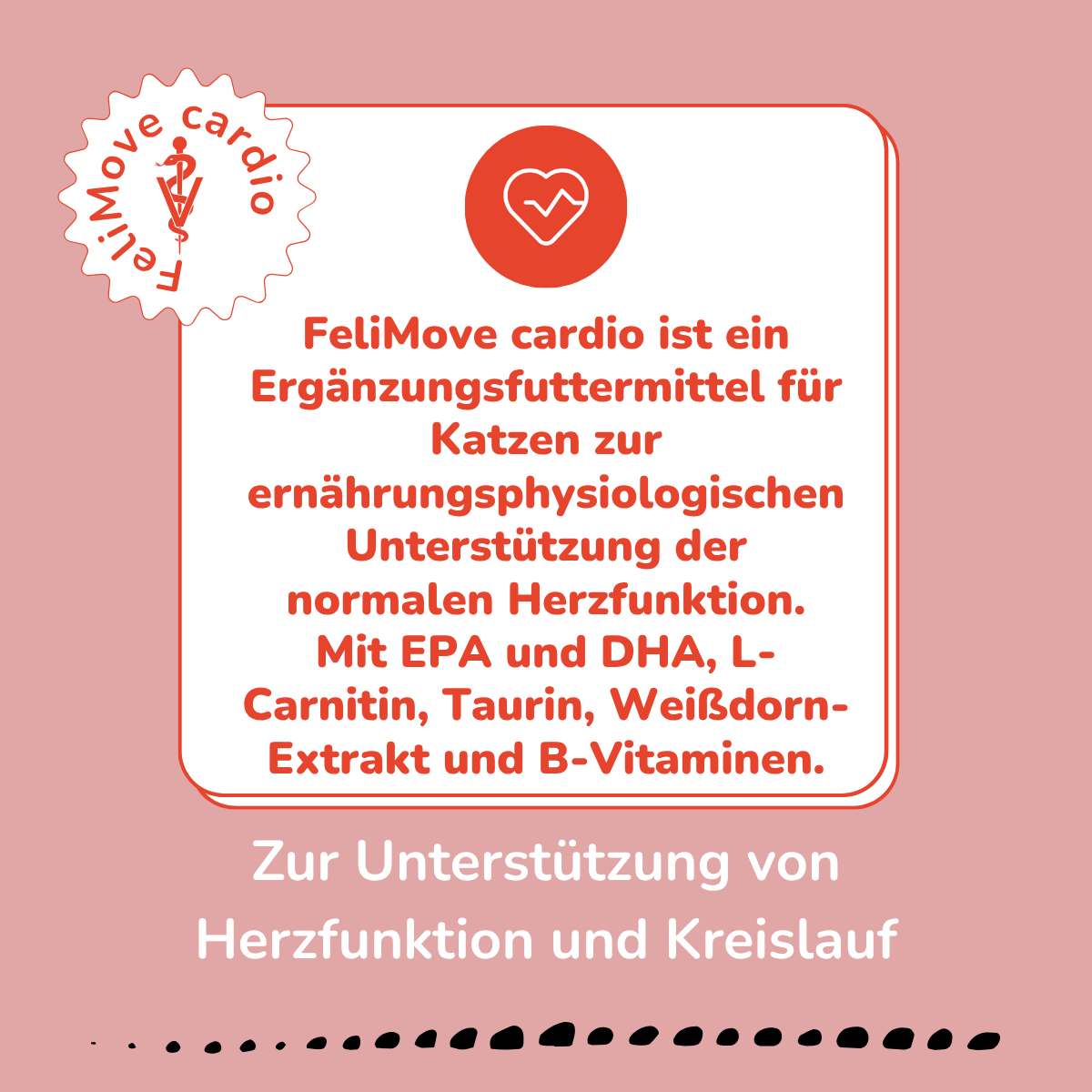 FeliMove cardio