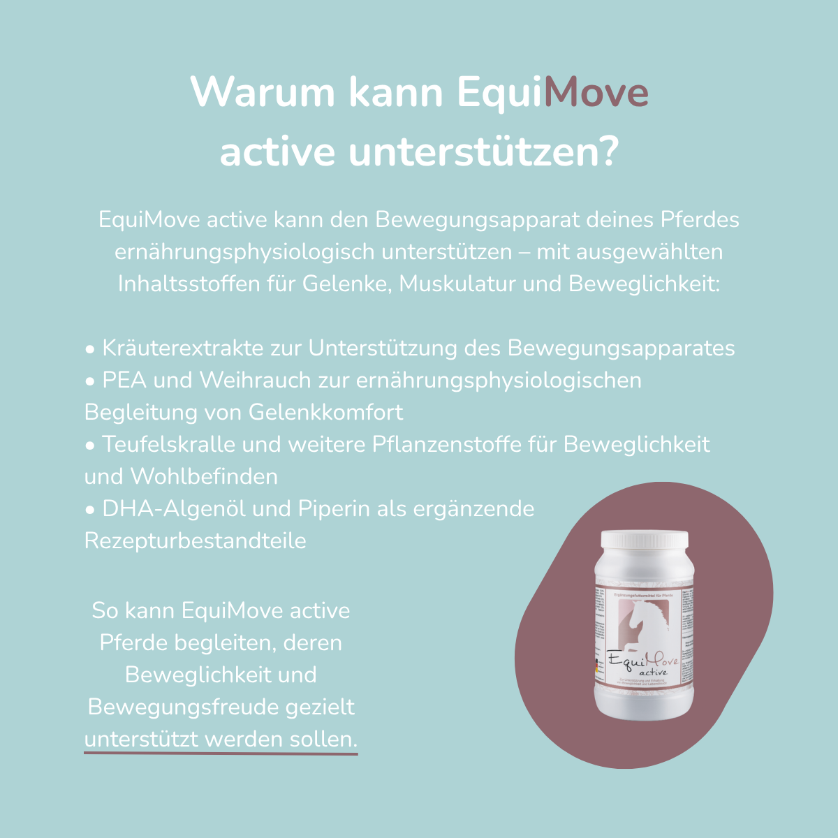 EquiMove active