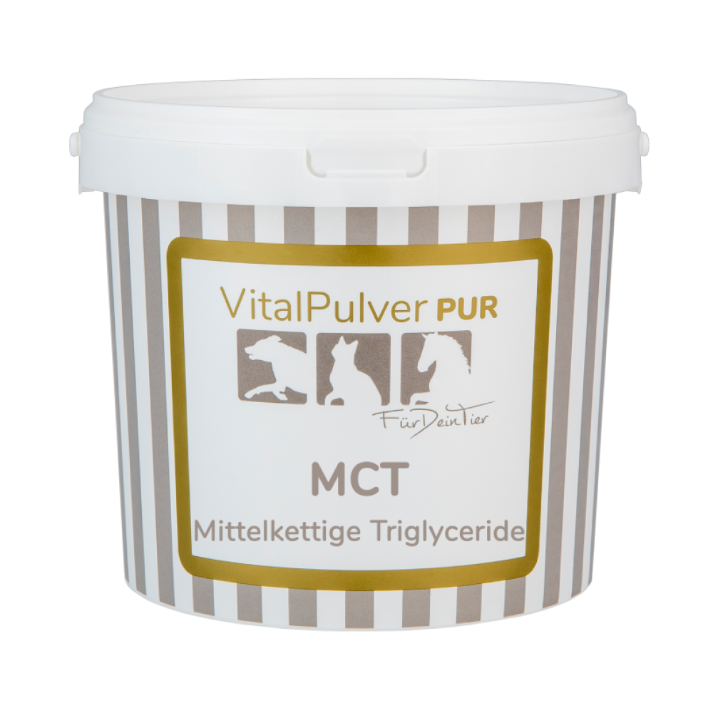 MCT Pulver