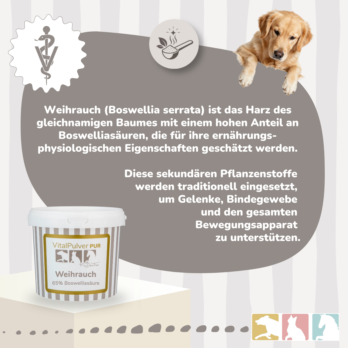 Weihrauch (Boswellia)