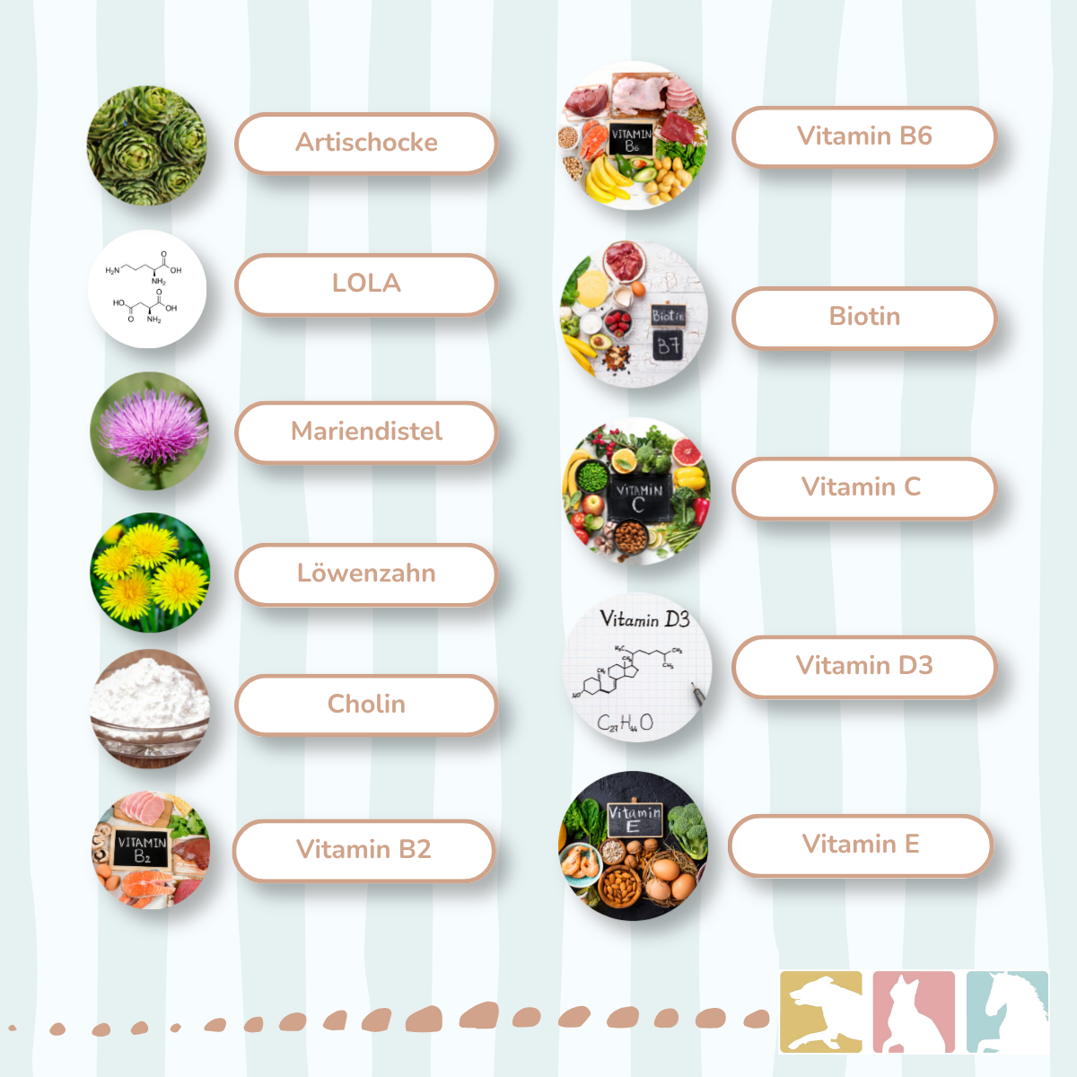 EquiMove hepar
