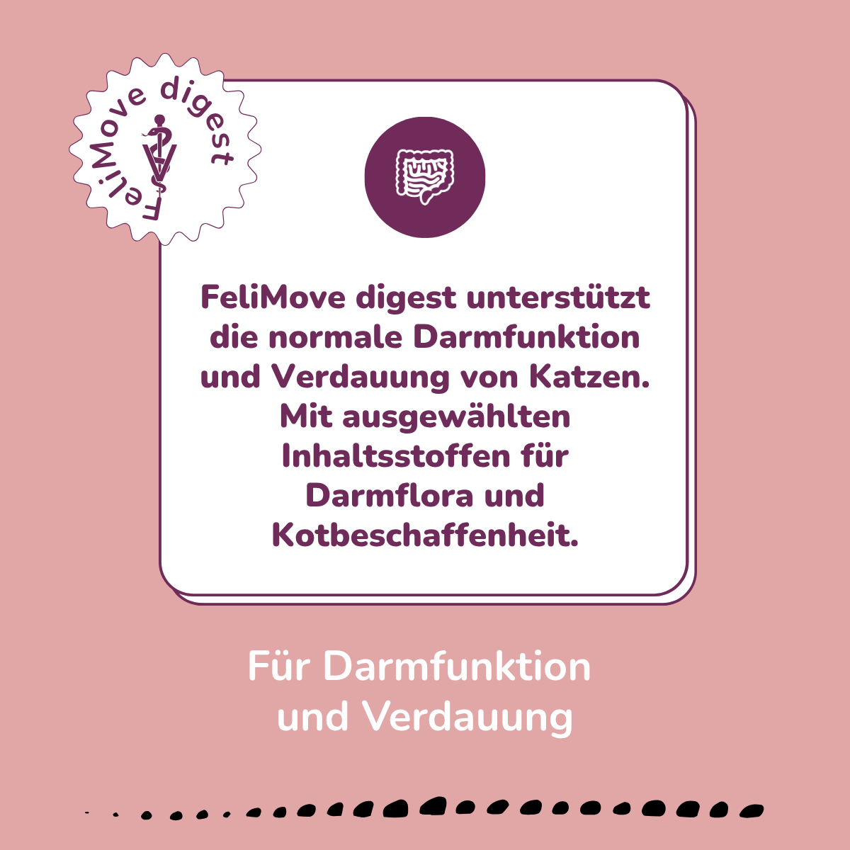 FeliMove digest