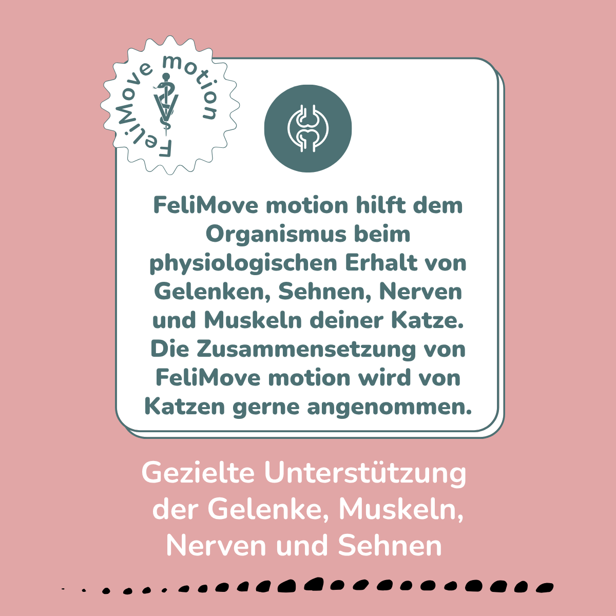 FeliMove motion