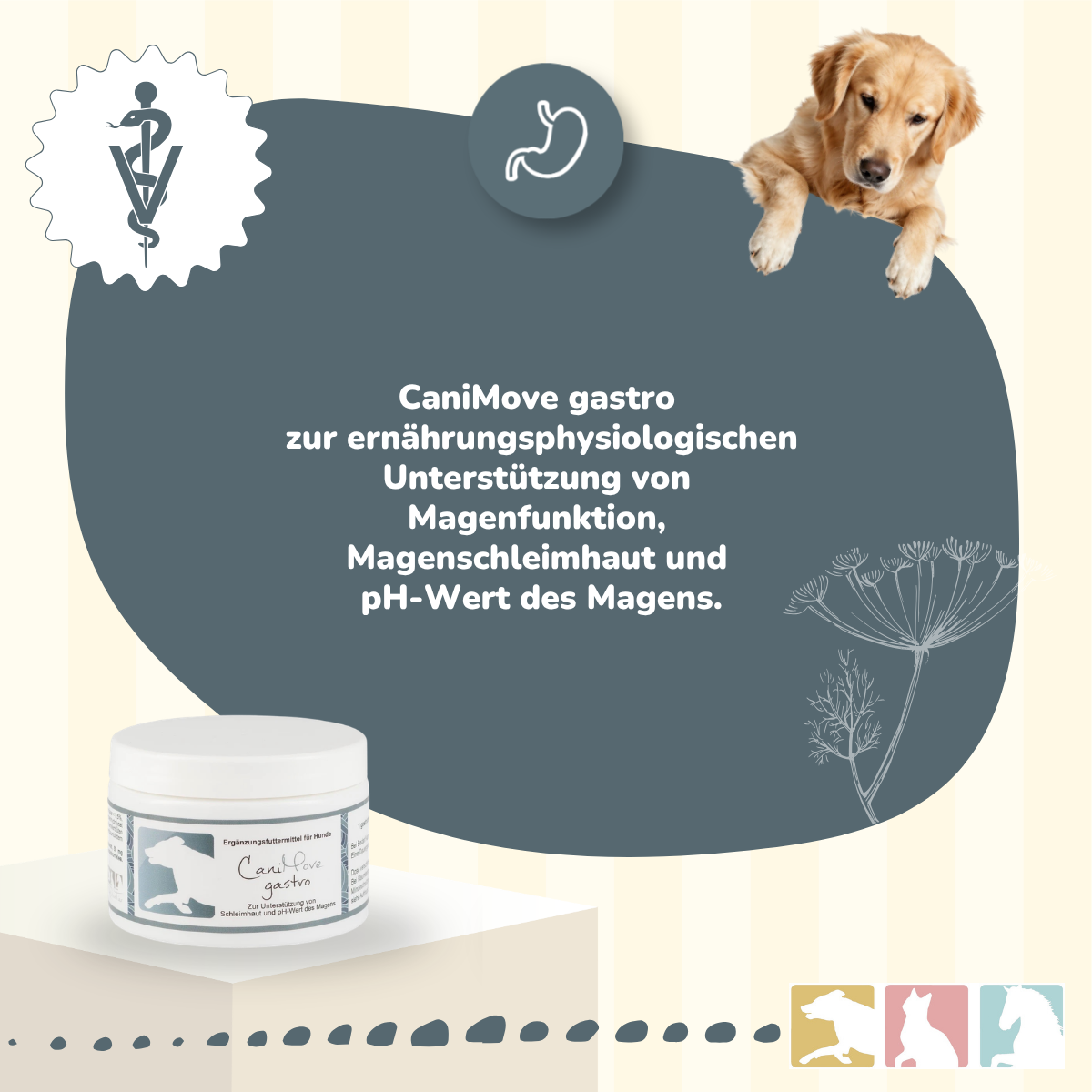 CaniMove gastro