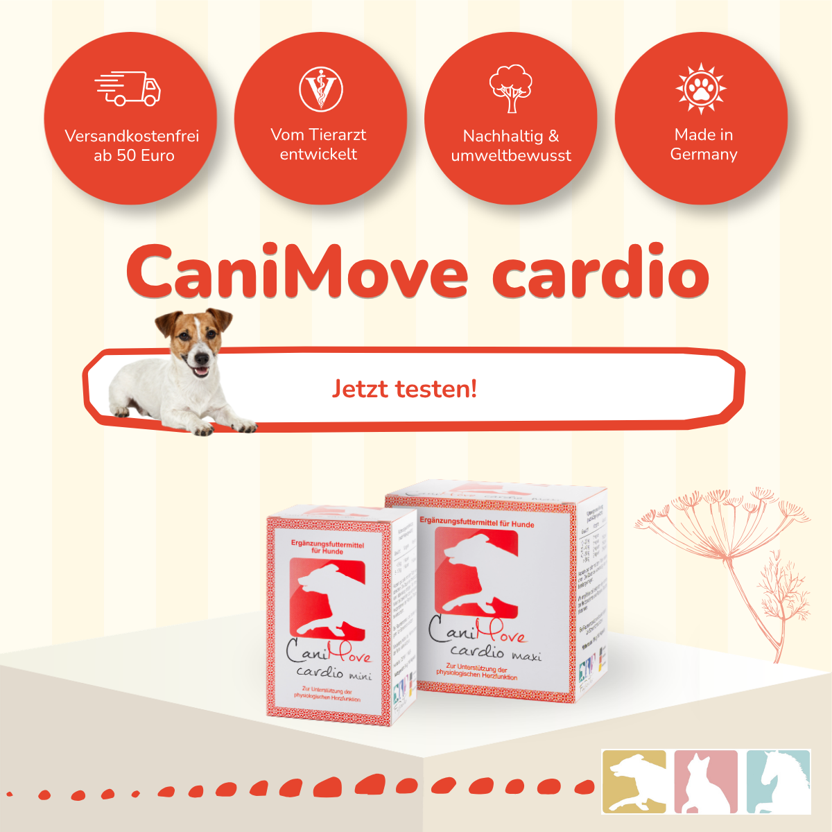 CaniMove cardio