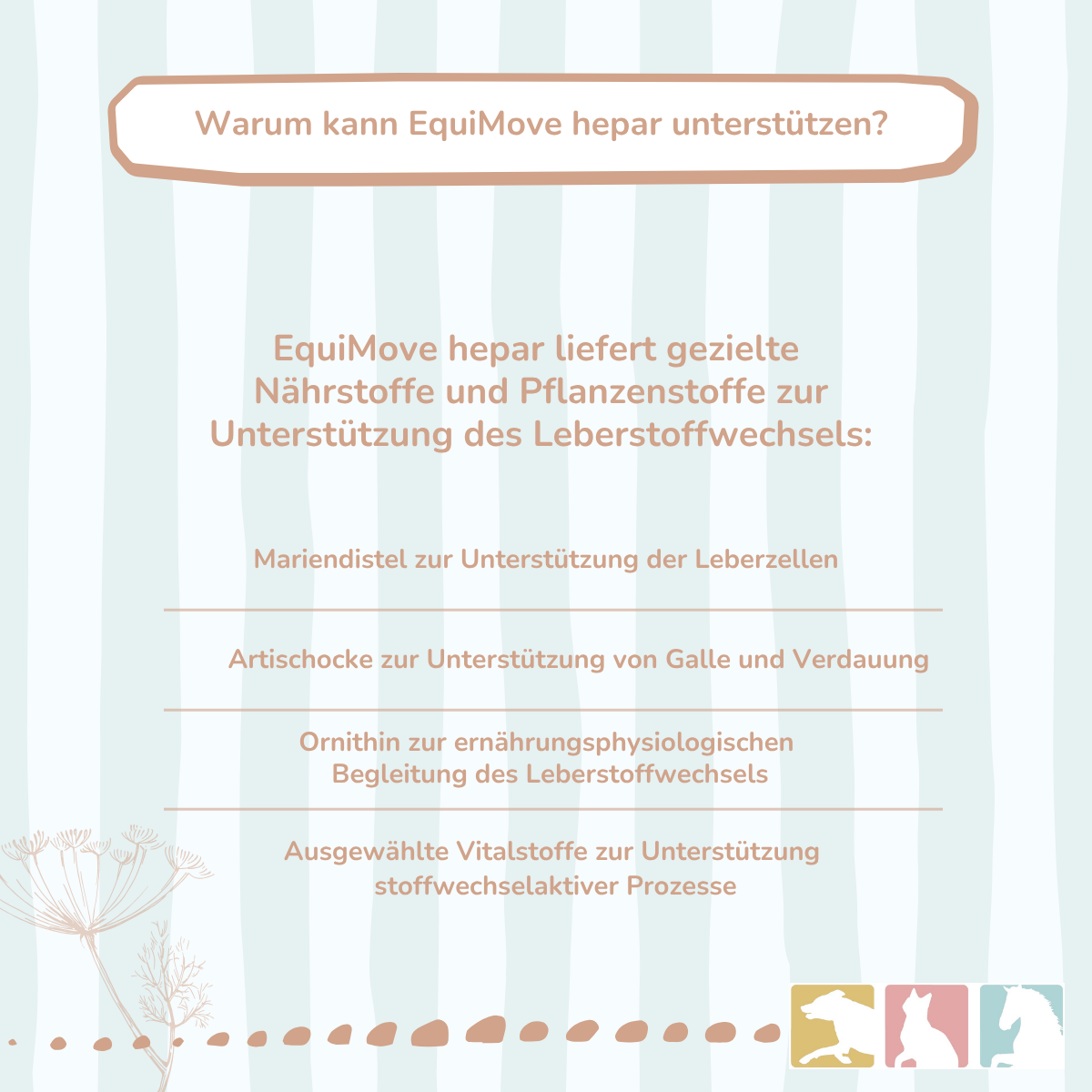 EquiMove hepar