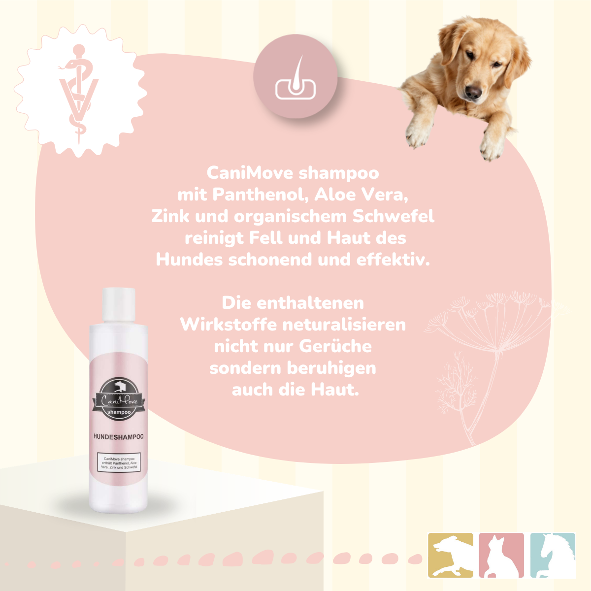 Hundeshampoo