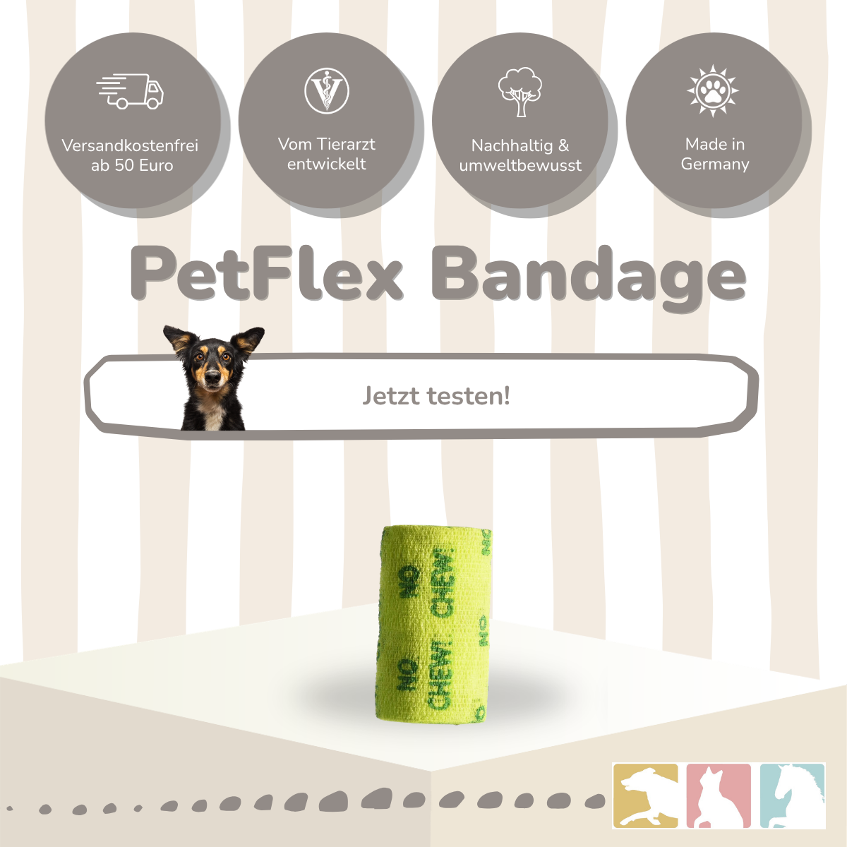 PetFlex NoChew 4"