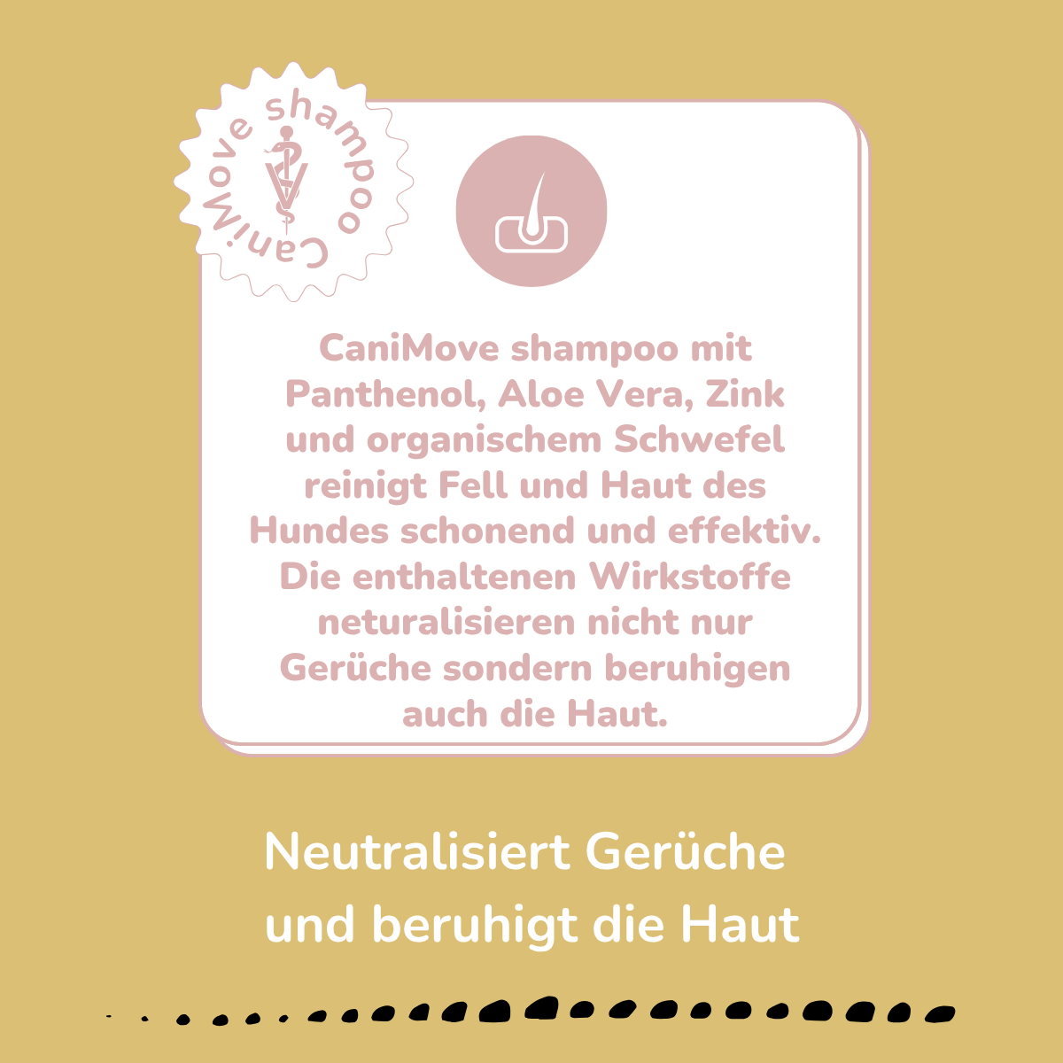 Hundeshampoo