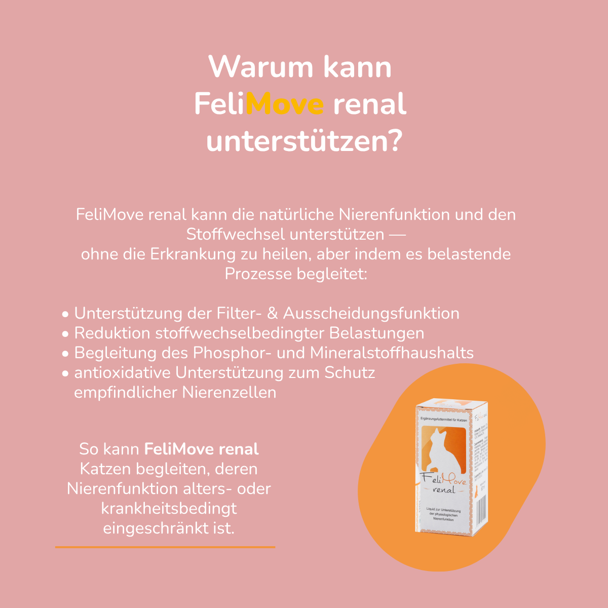 FeliMove renal