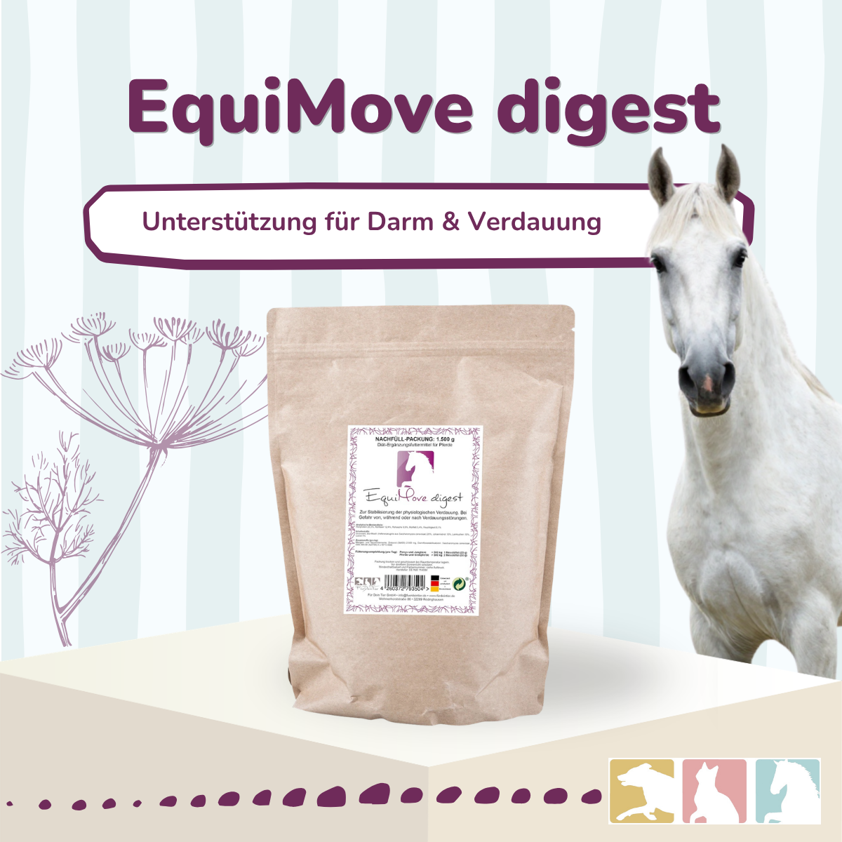 EquiMove digest