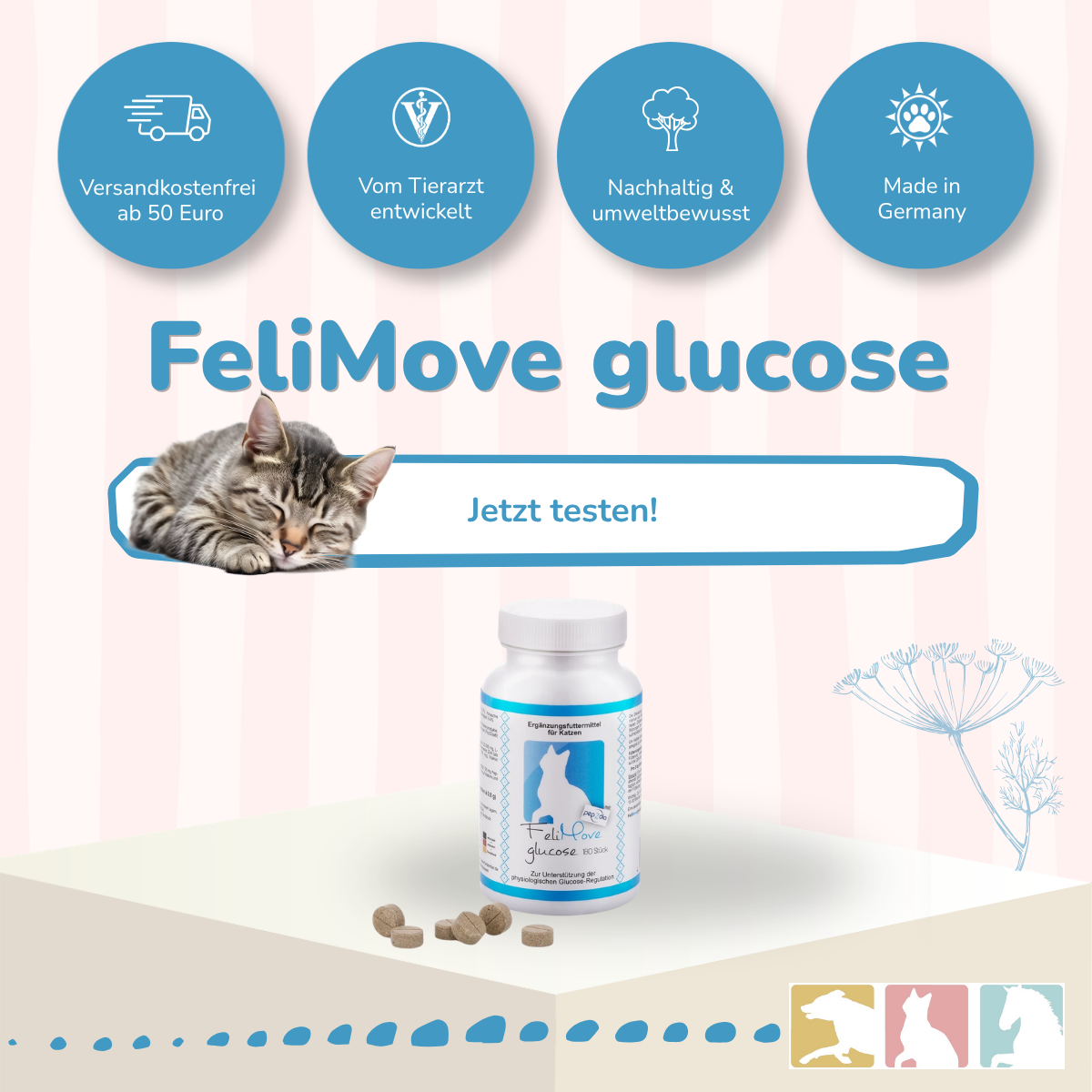 FeliMove glucose