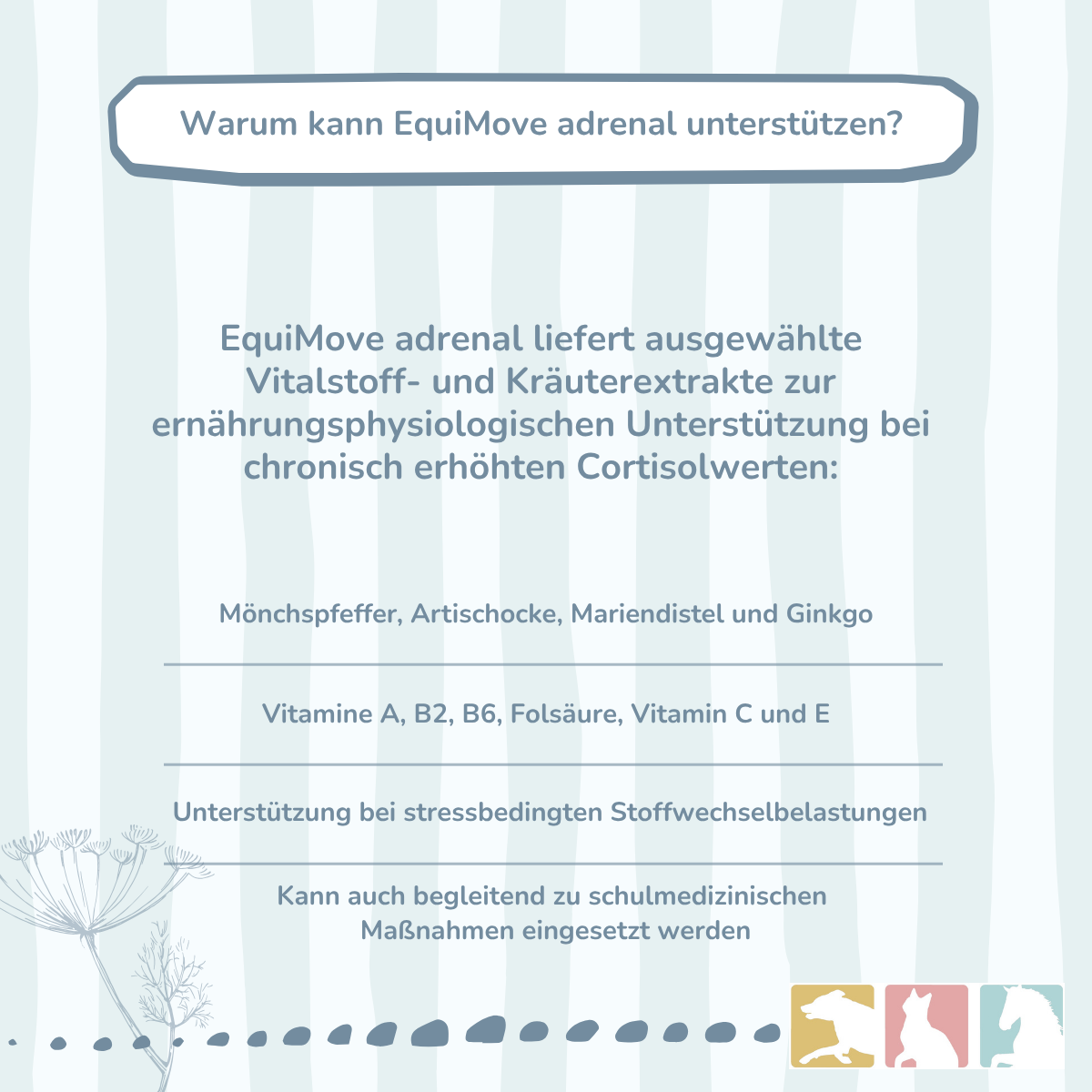 EquiMove adrenal