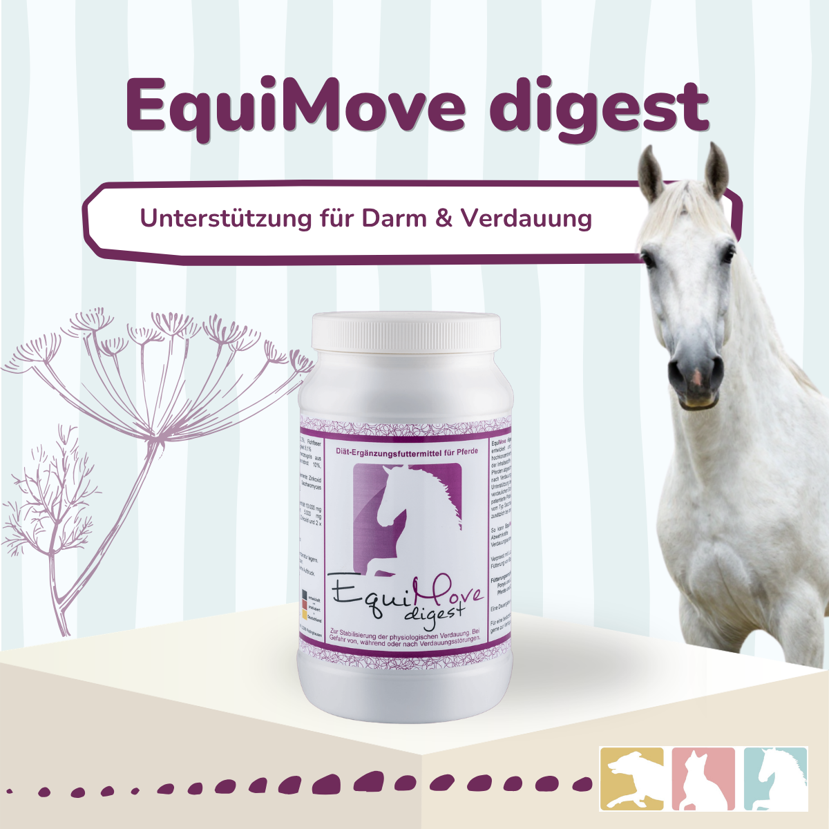 EquiMove digest