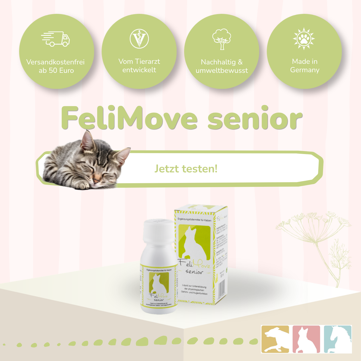 FeliMove senior