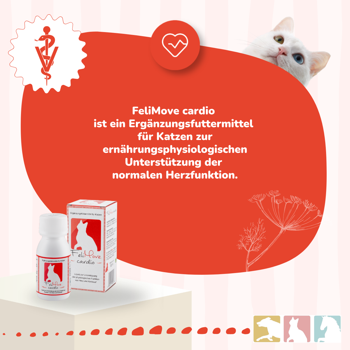 FeliMove cardio