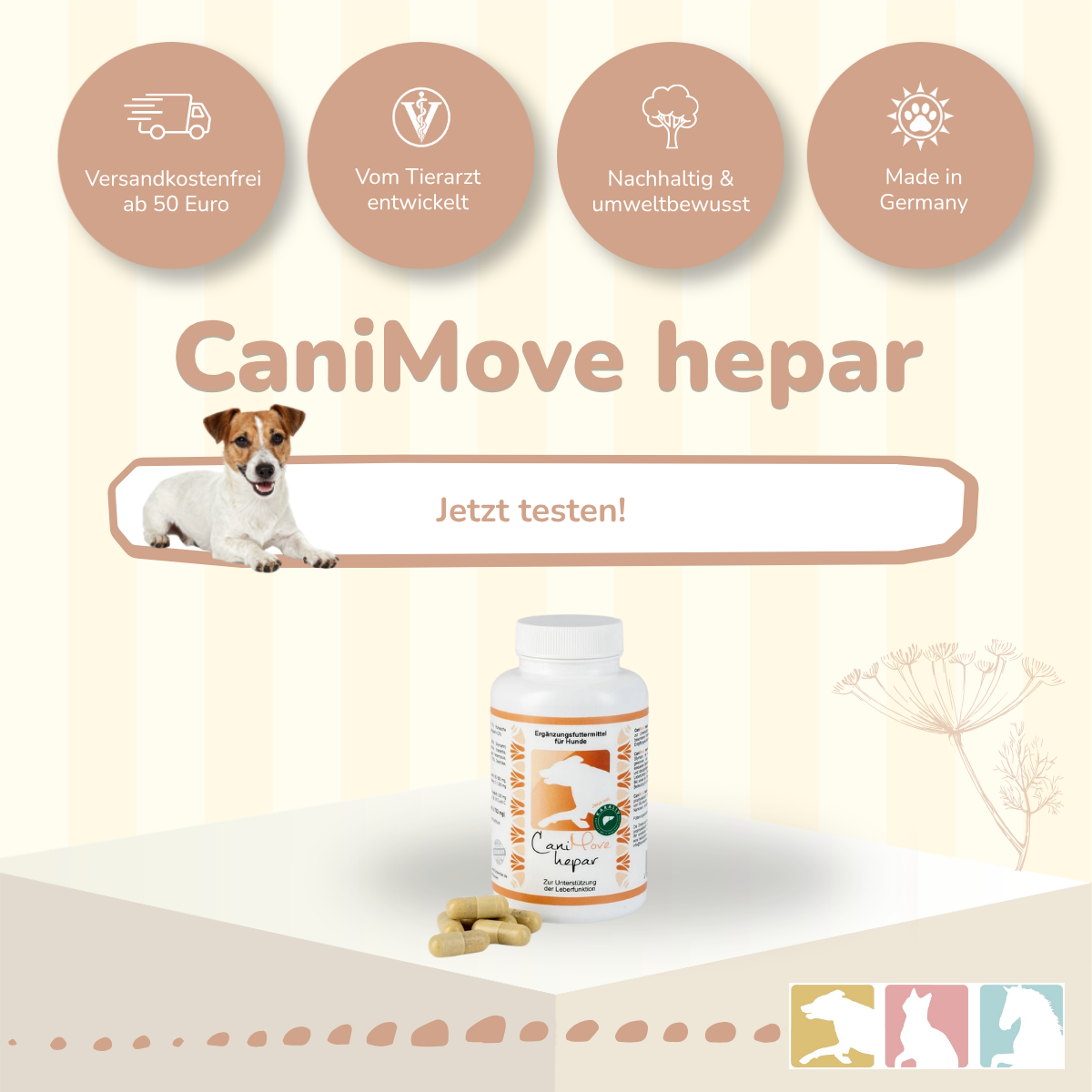 CaniMove hepar