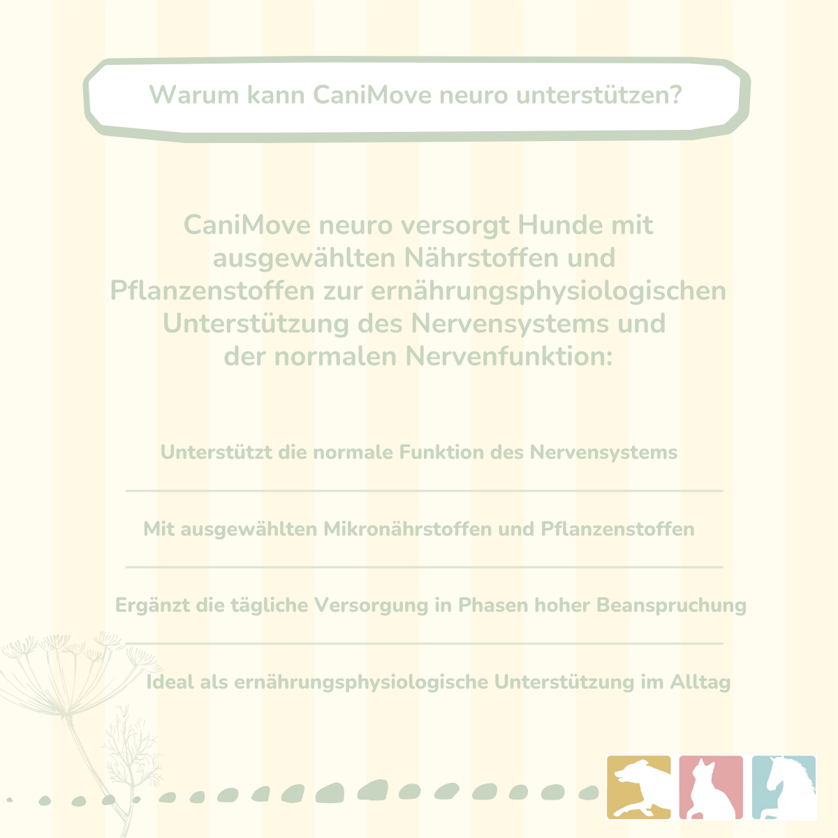 CaniMove neuro