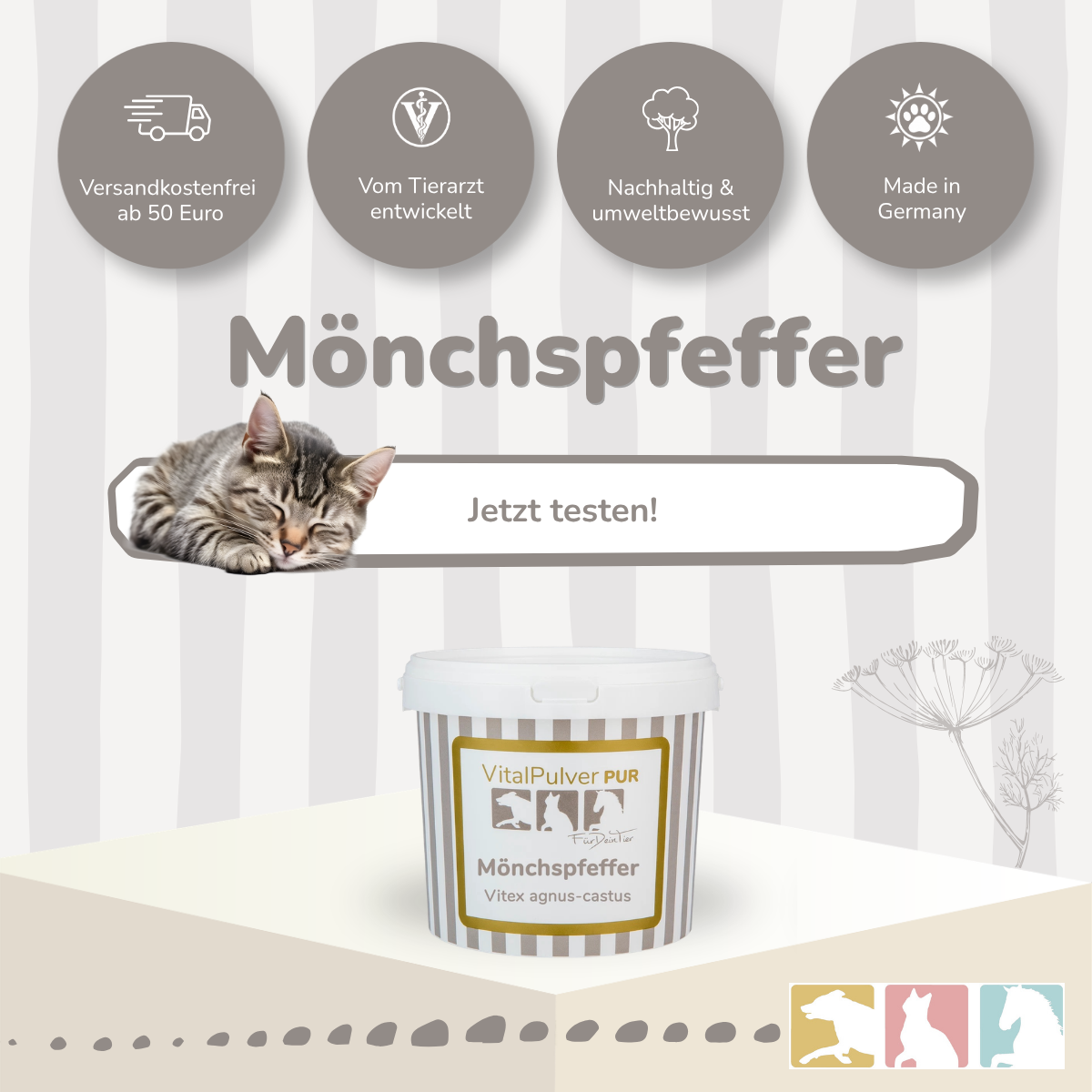 Mönchspfeffer