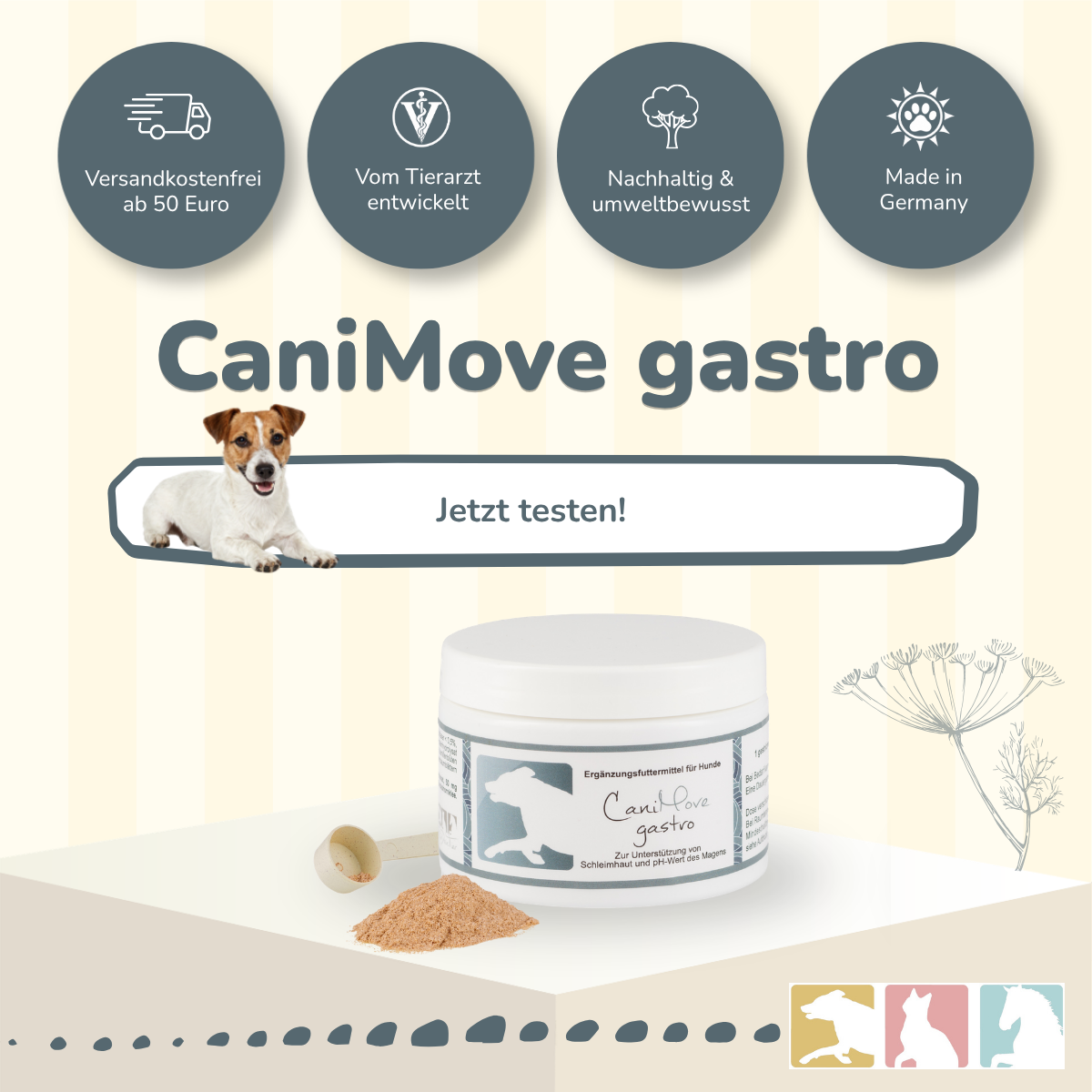 CaniMove gastro