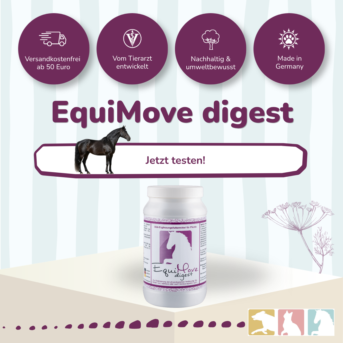 EquiMove digest