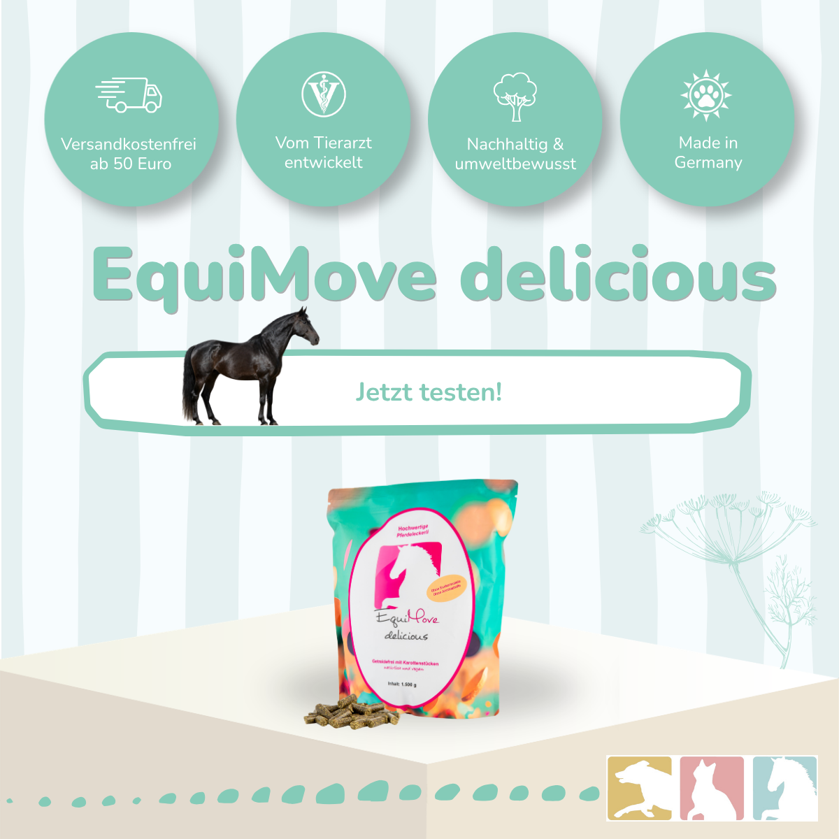 EquiMove delicious