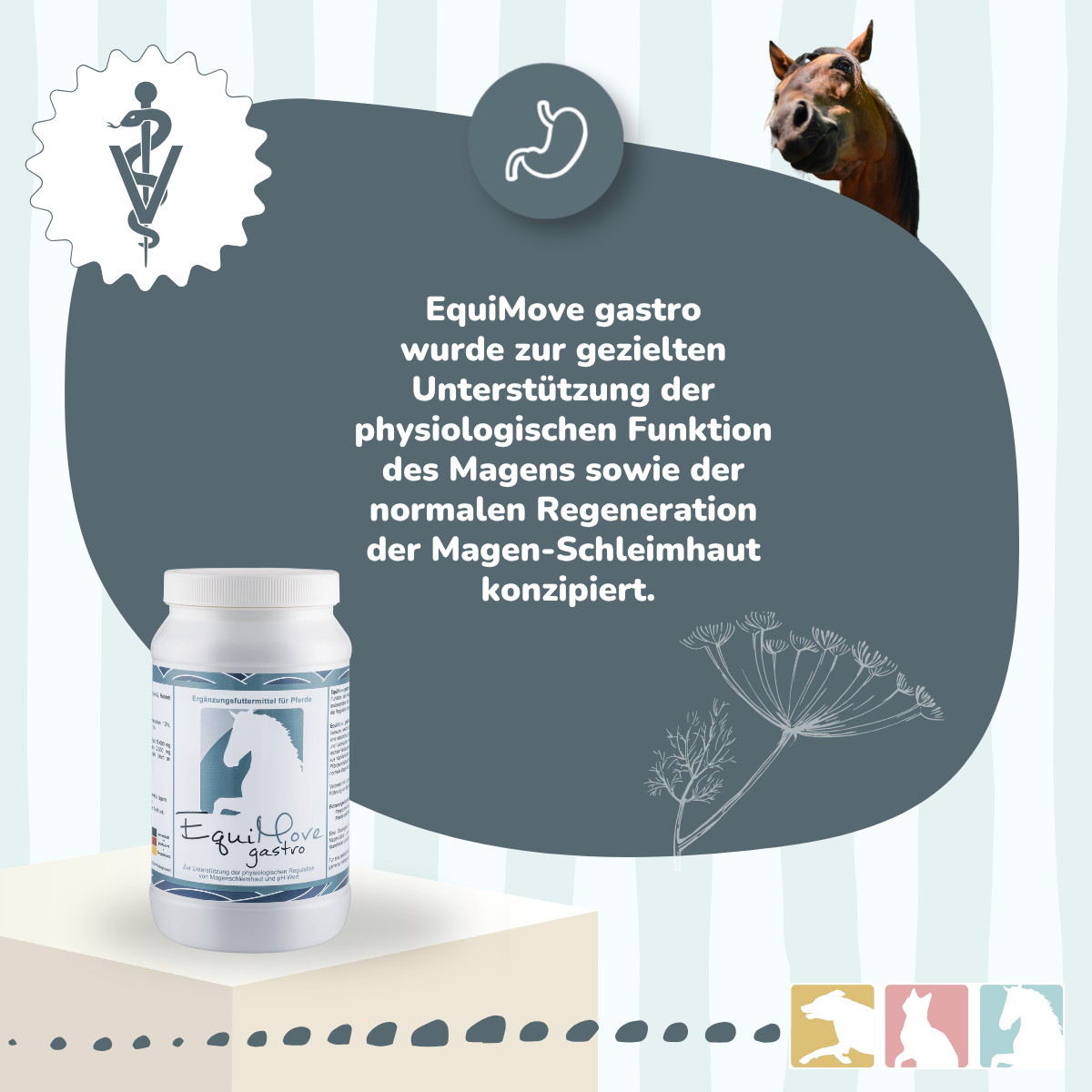 EquiMove gastro