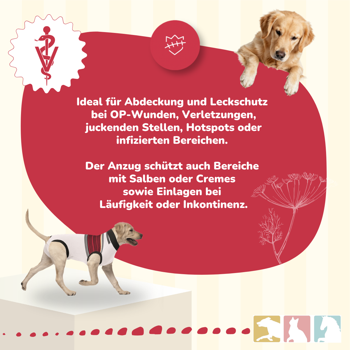 Wundschutz Anzug