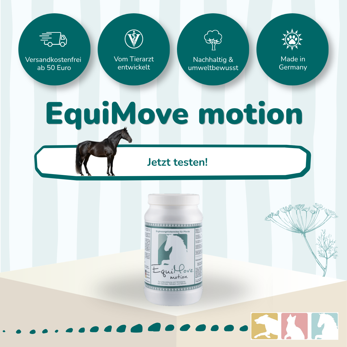 EquiMove motion