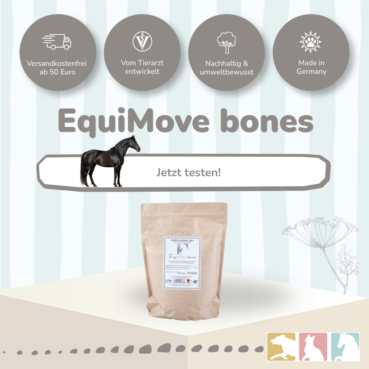 EquiMove bones