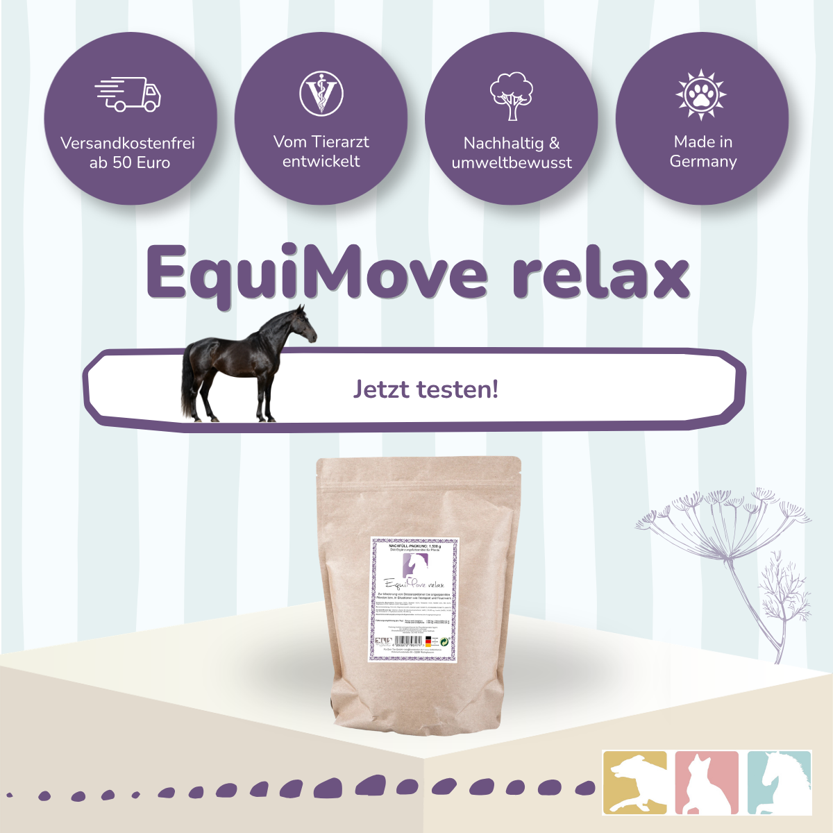 EquiMove relax