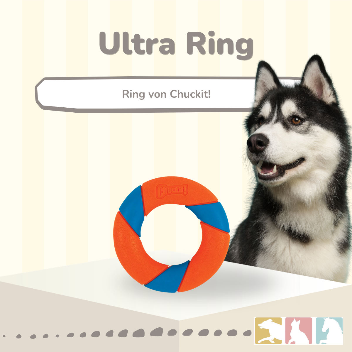 Chuckit! Ultra Ring
