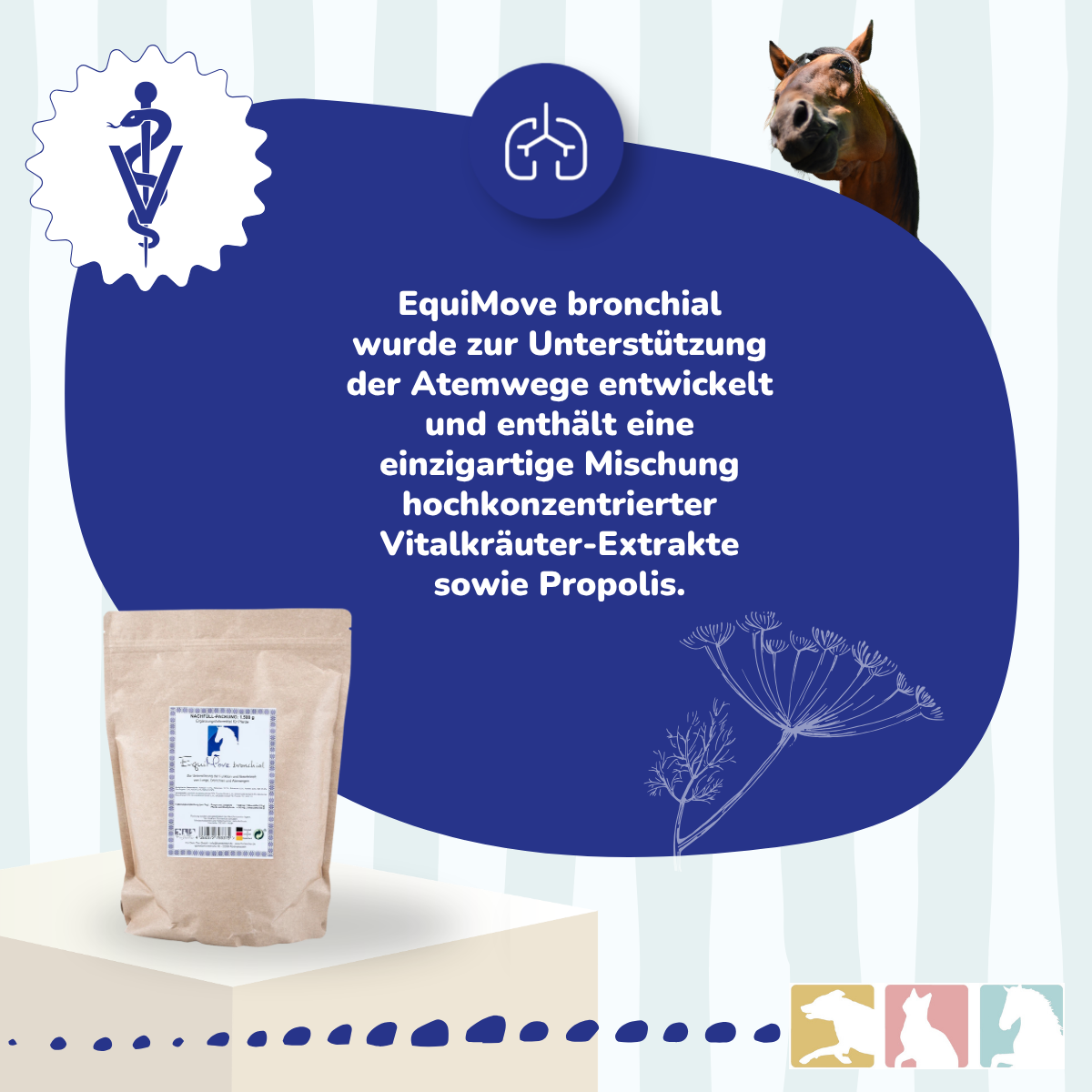 EquiMove bronchial