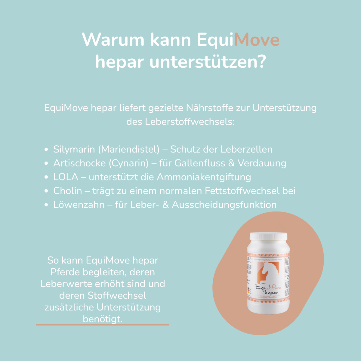 EquiMove hepar