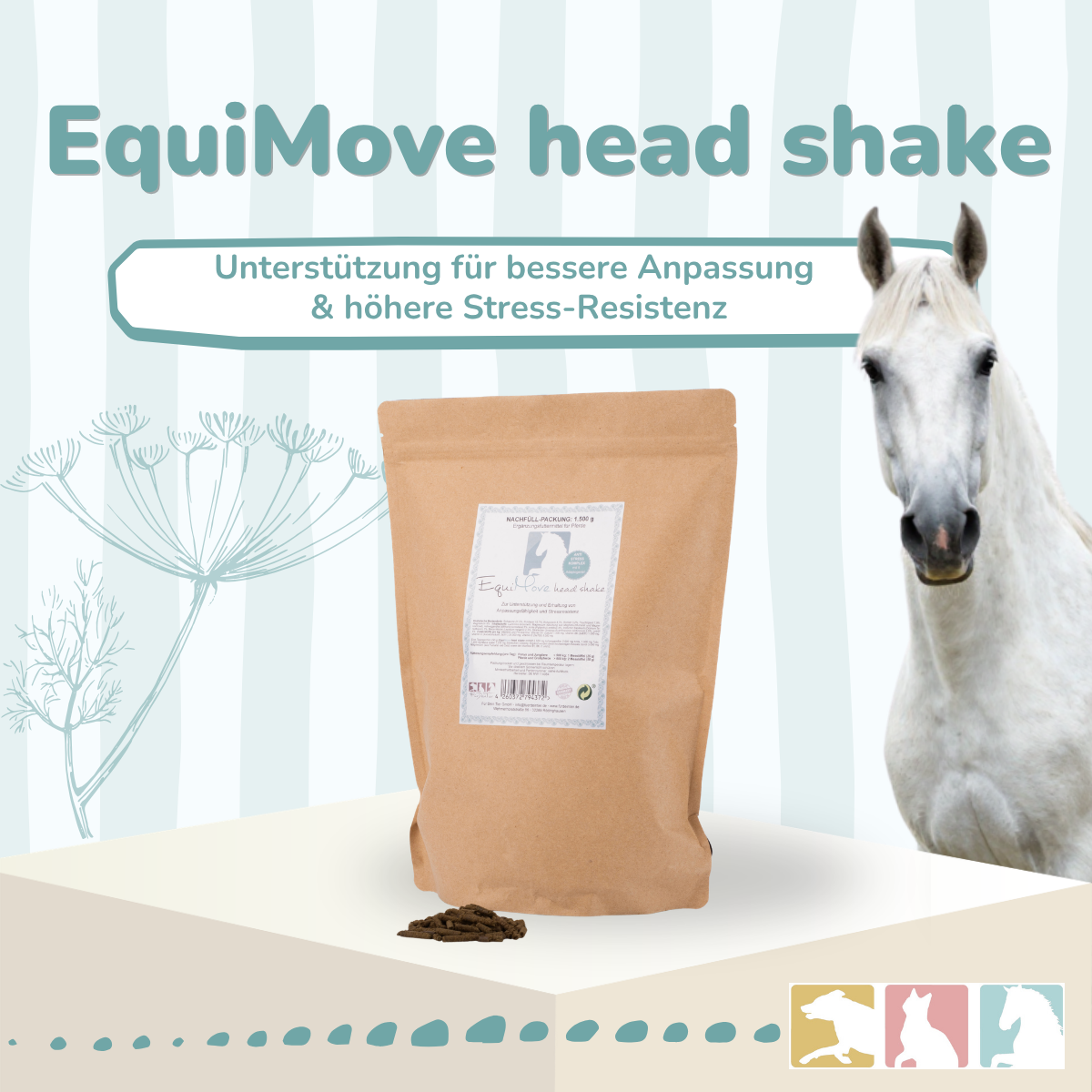 EquiMove head shake