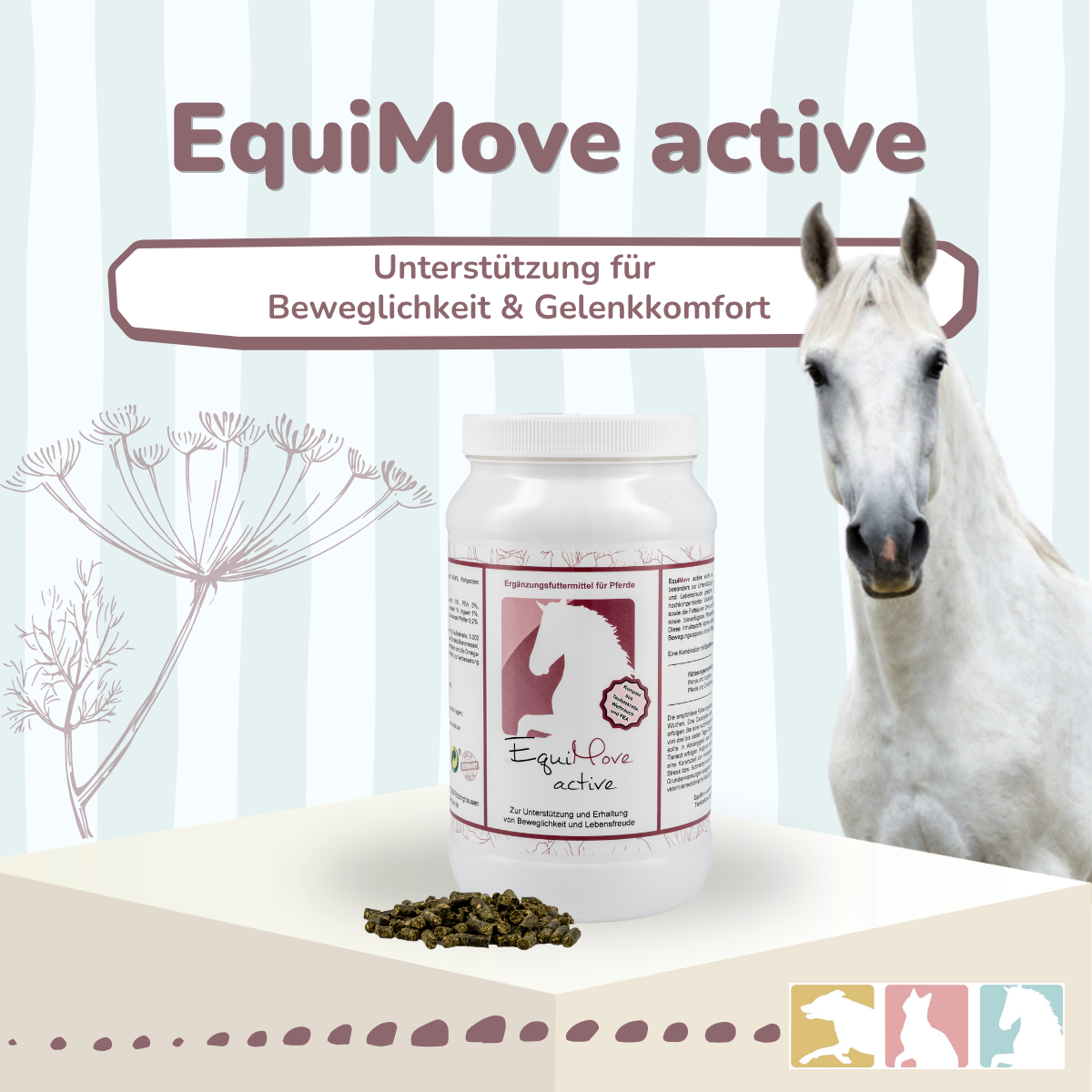 EquiMove active