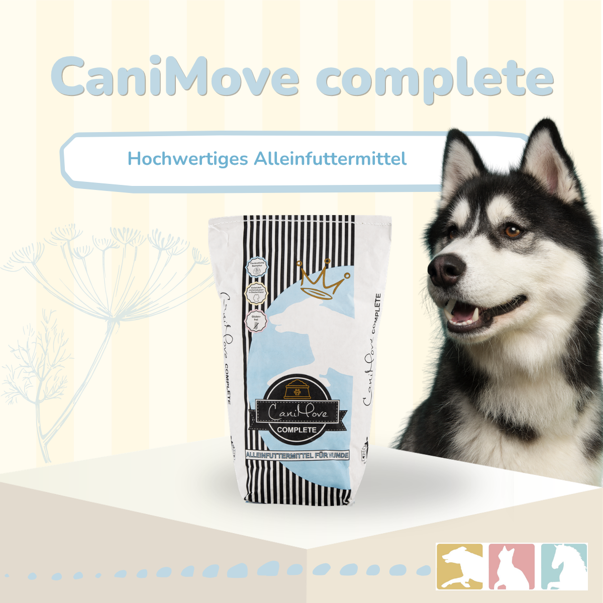 CaniMove complete