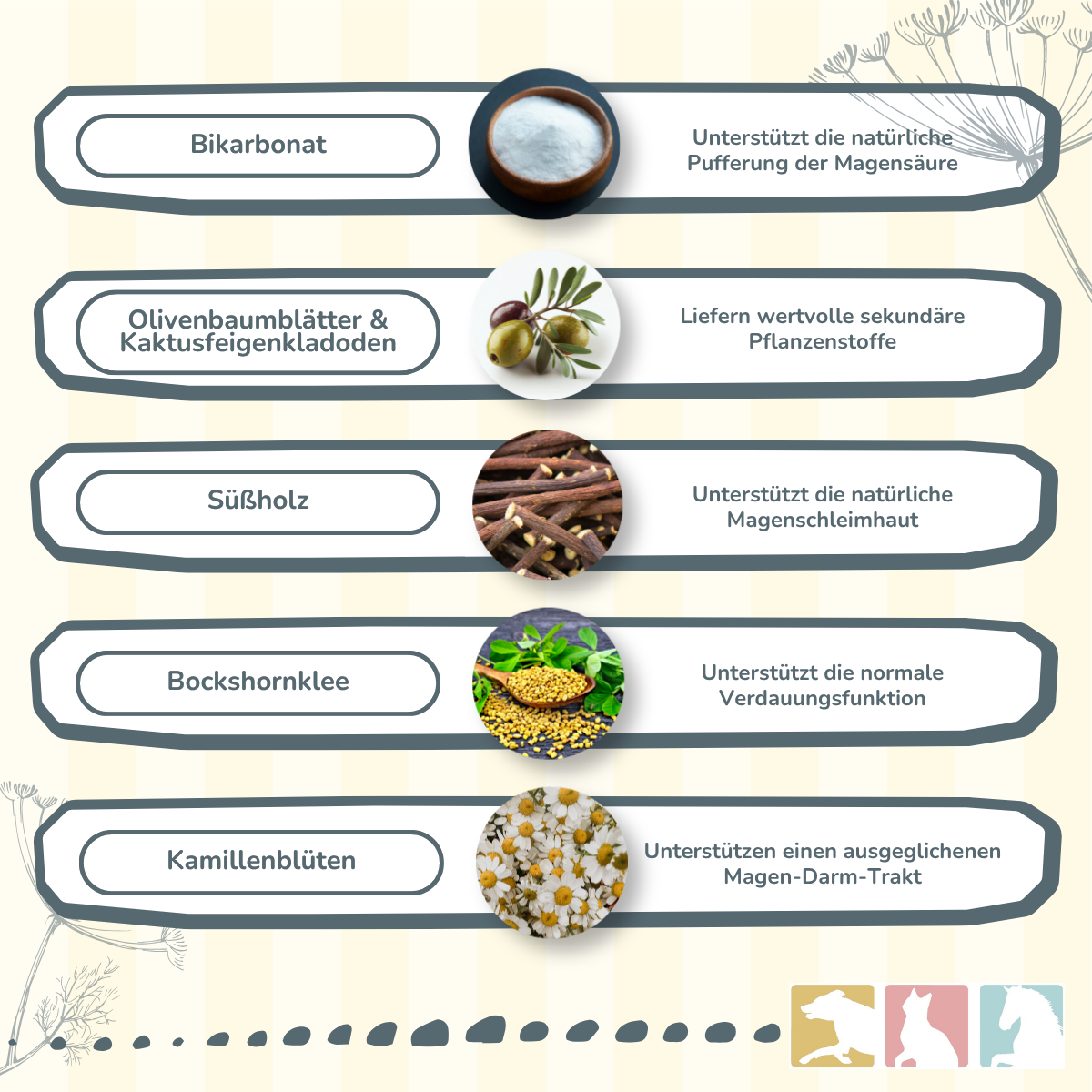 CaniMove gastro