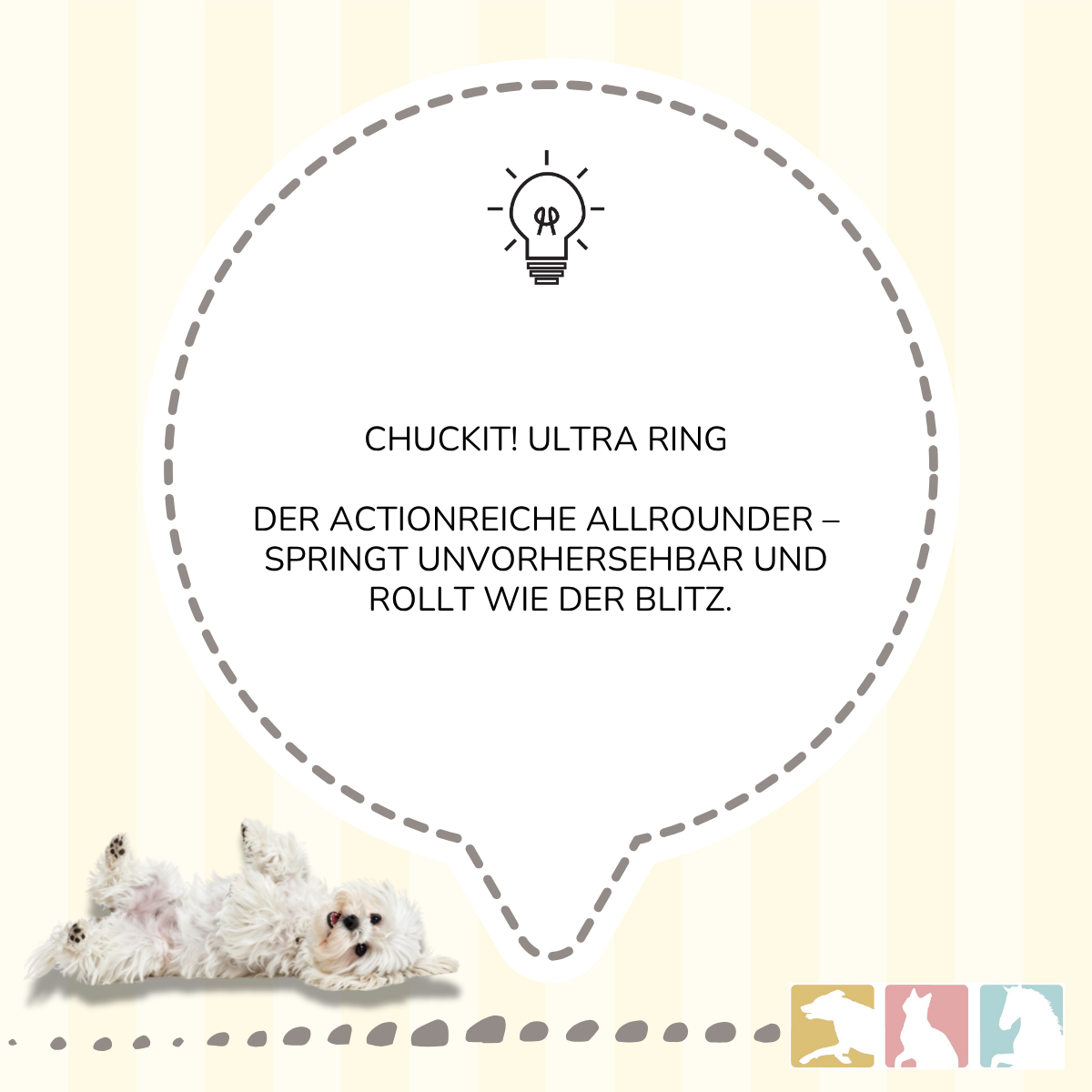 Chuckit! Ultra Ring