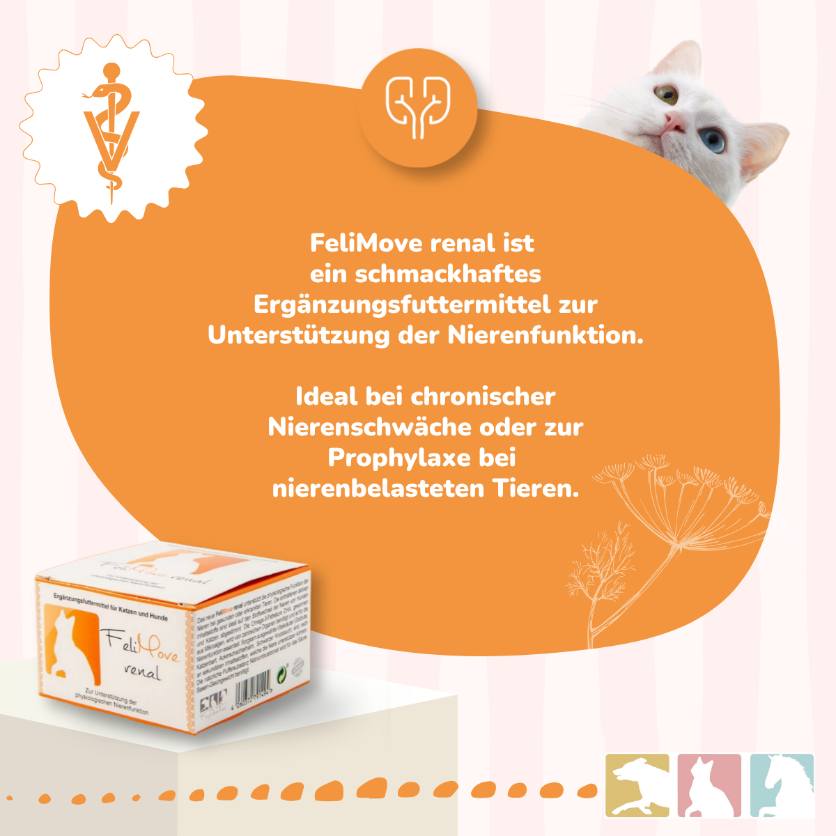 FeliMove renal