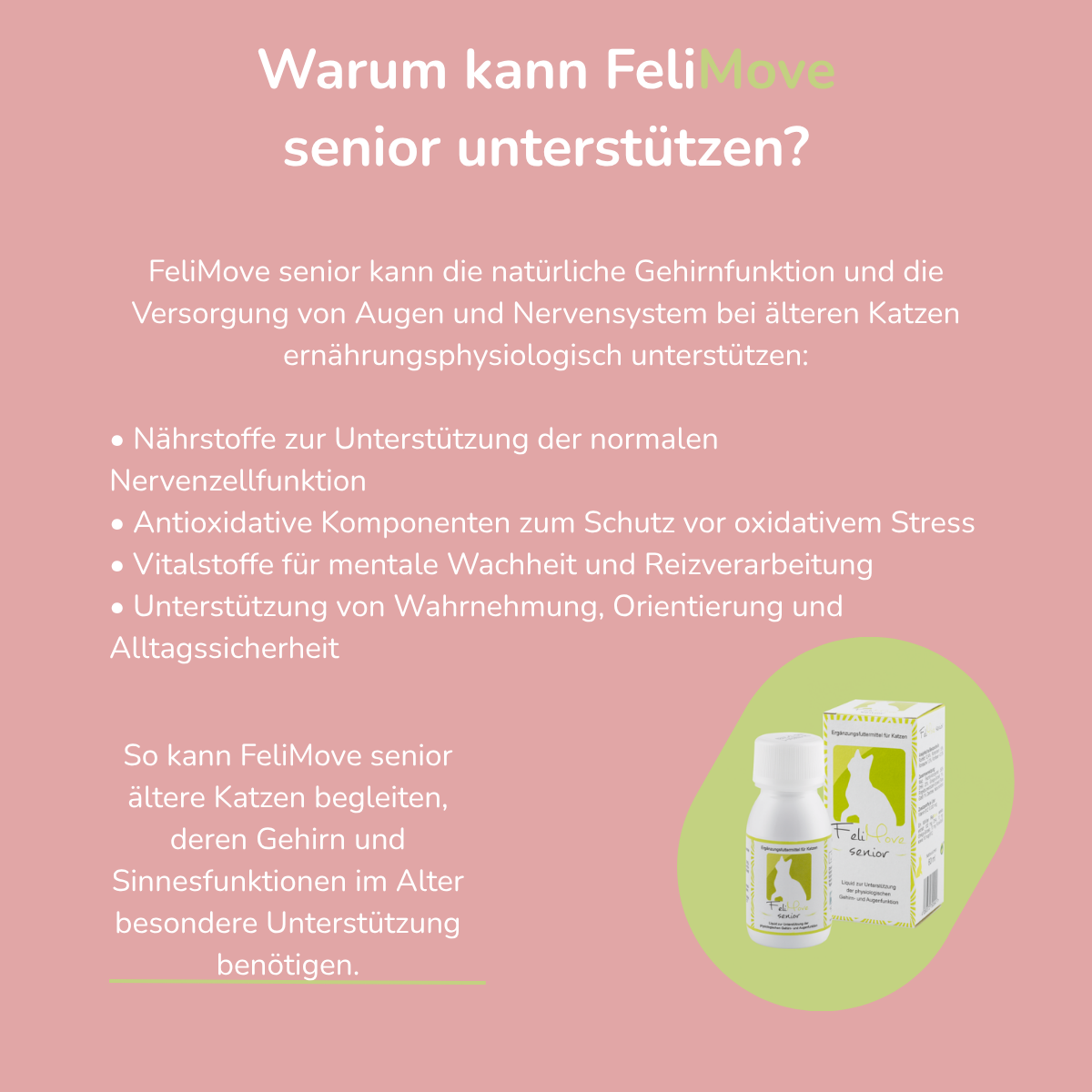 FeliMove senior